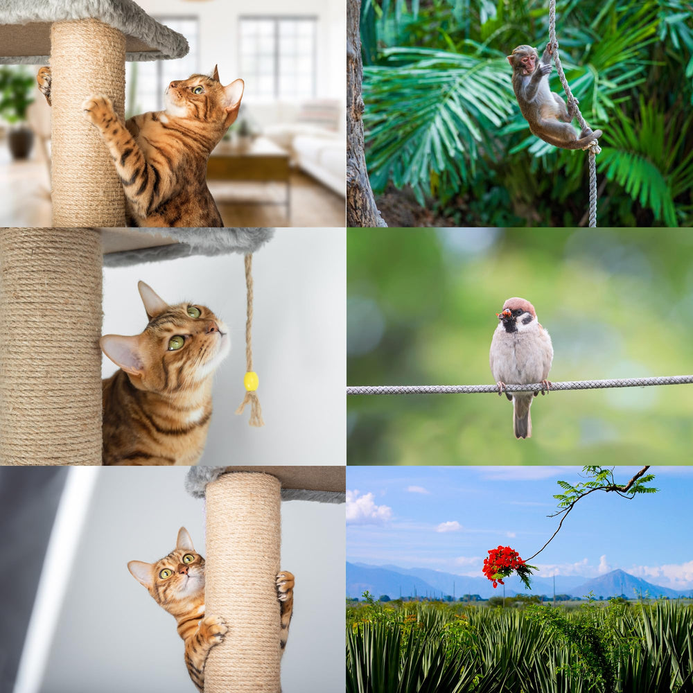 100% natural and safe for cats to claw, bite, and rub against
