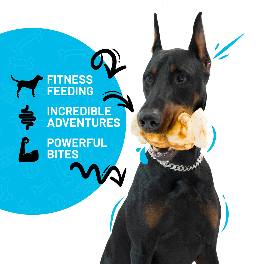 Sitka Beef Cheek Roll long-lasting chew image emphasizing extended chewing time.