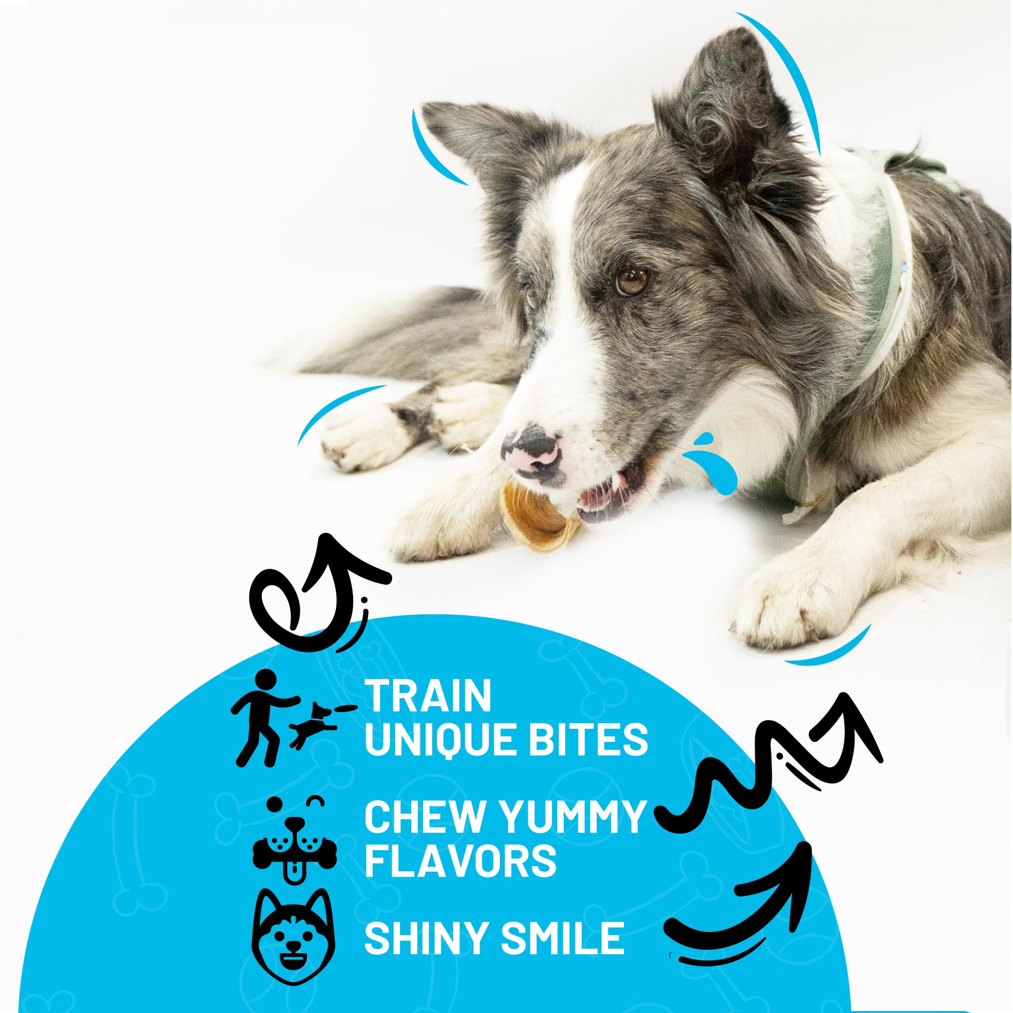 Sitka Split trachea dog chew ideal for small dogs with easy-chew texture.