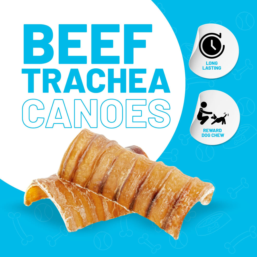 Sitka Beef Trachea Canoes close-up texture emphasizes chewy bite and aroma.