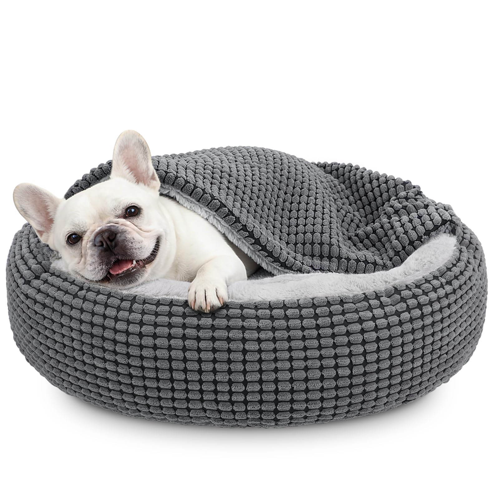 Siwa Mary donut bed with hood creates a warm, secure nest for small dogs and cats.