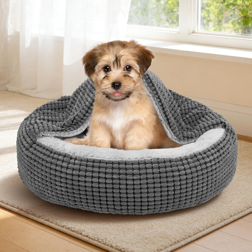 Siwa Mary pet relaxed in bed, illustrating a calming retreat.