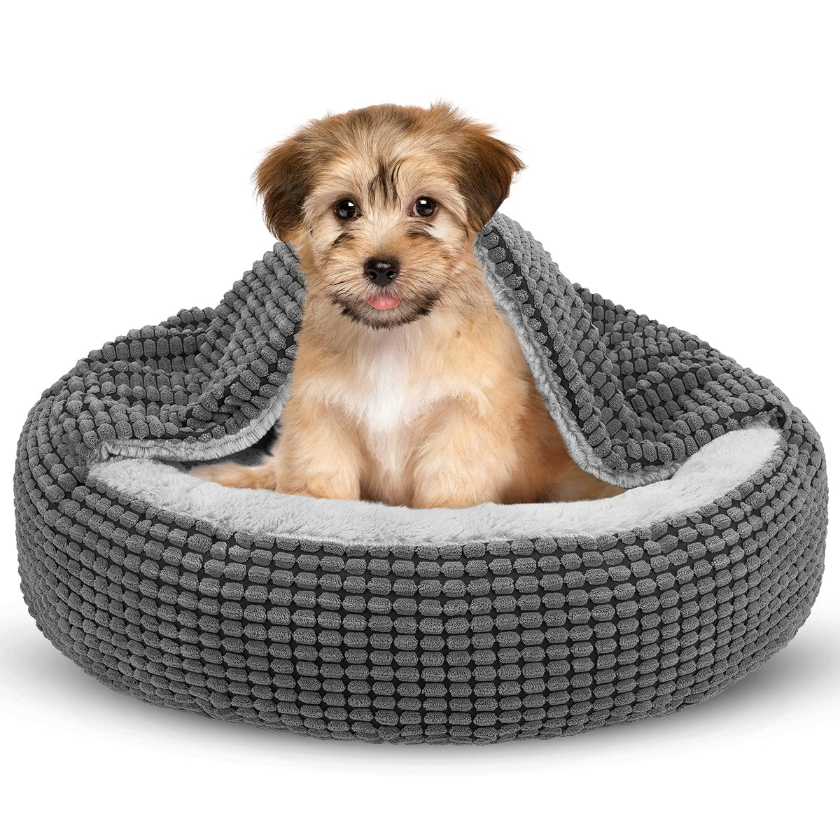 Siwa Mary small dog bed with hood offers secure, cozy hideaway for pets.