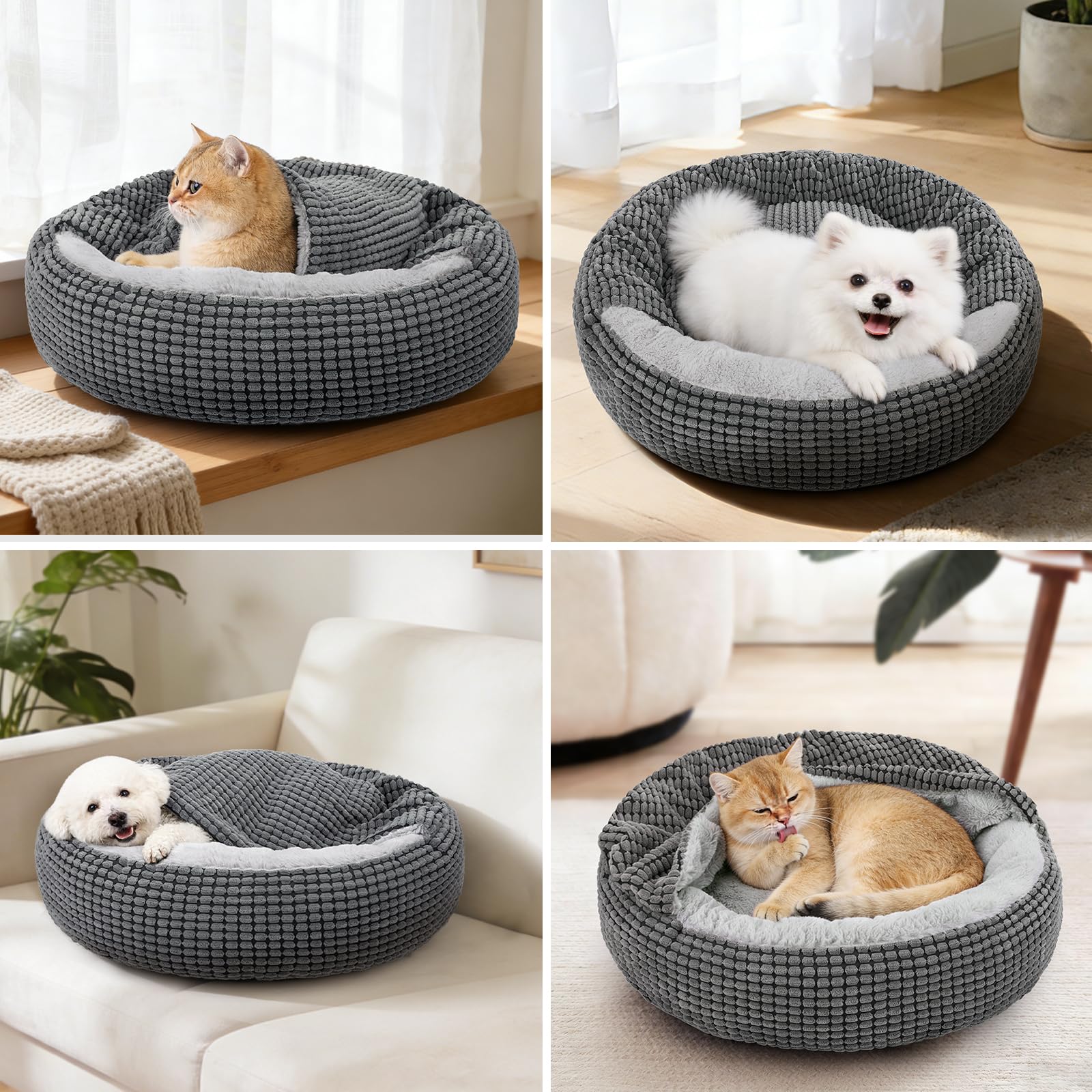 Siwa Mary two sizes 23- and 26-inch fit small to medium pets.