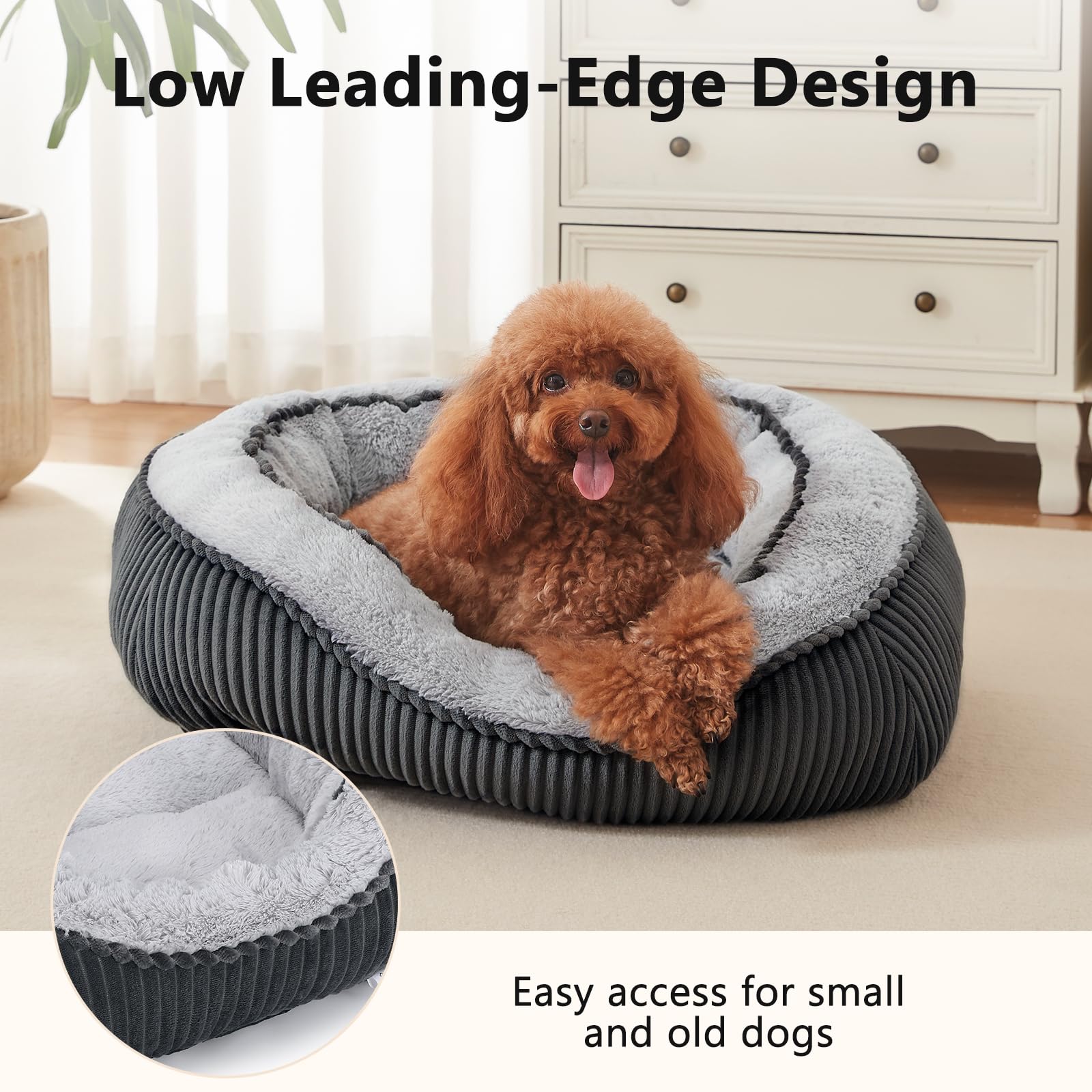 Raised-edge rectangular design offers secure head support for curling dogs