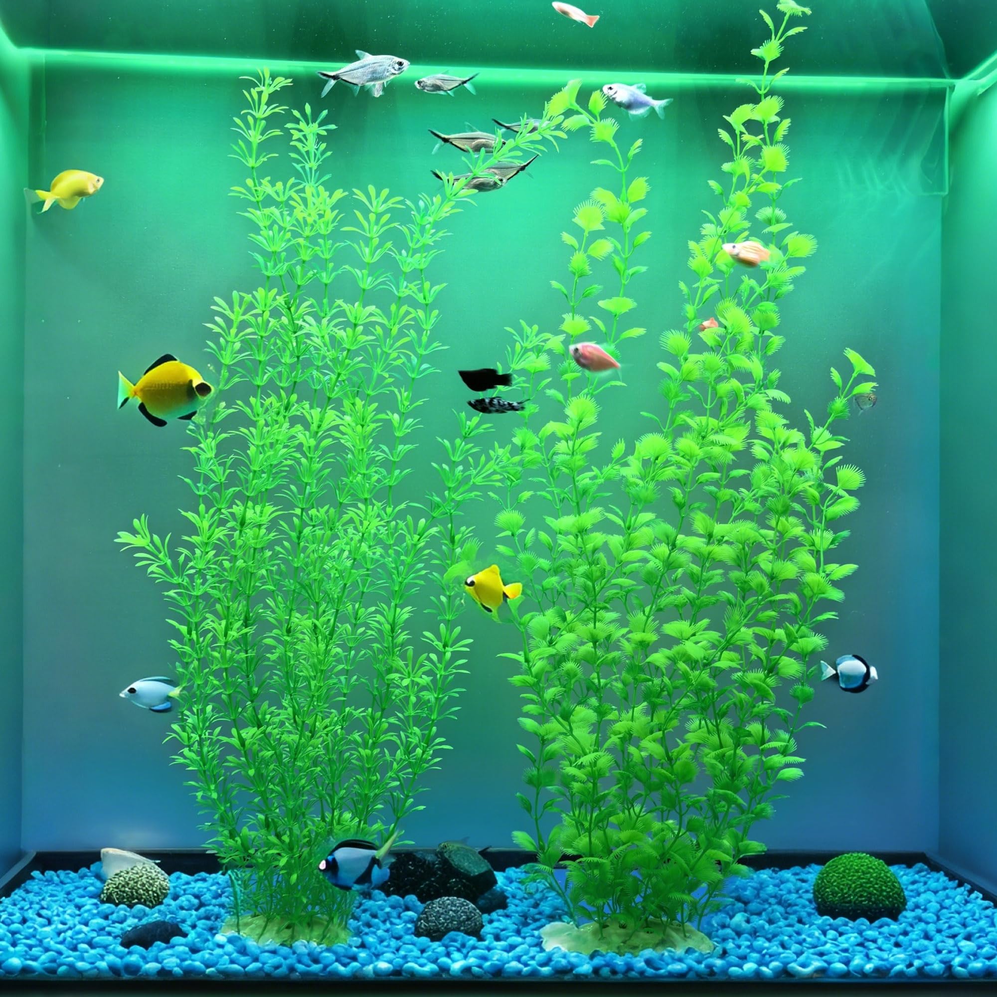 Siyipur low-maintenance decor stays vibrant without pruning.