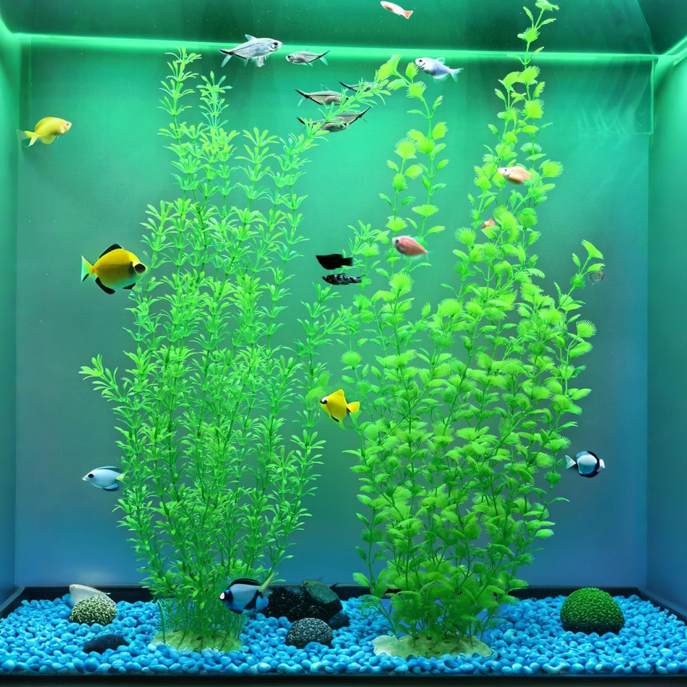 Siyipur low-maintenance decor stays vibrant without pruning.