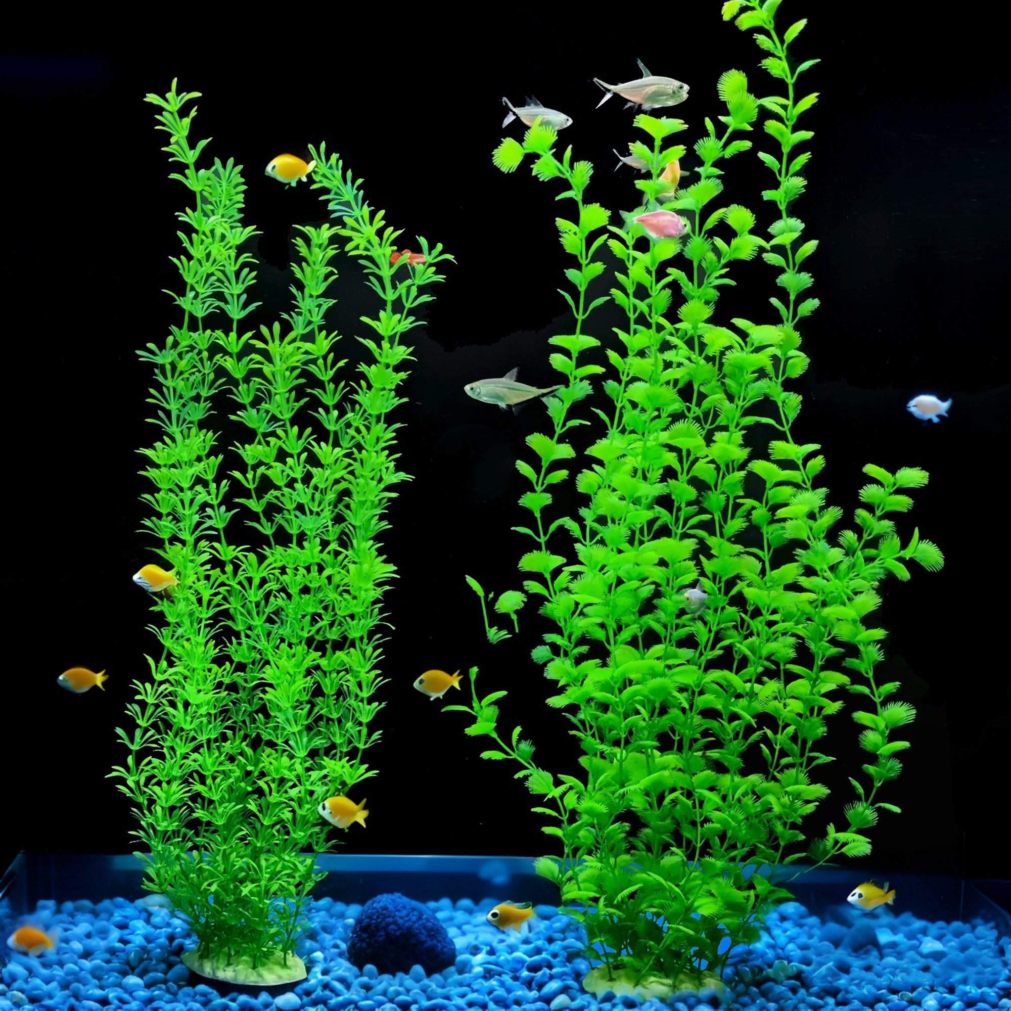 Siyipur realistic swaying greenery enhances natural aquarium aesthetics.