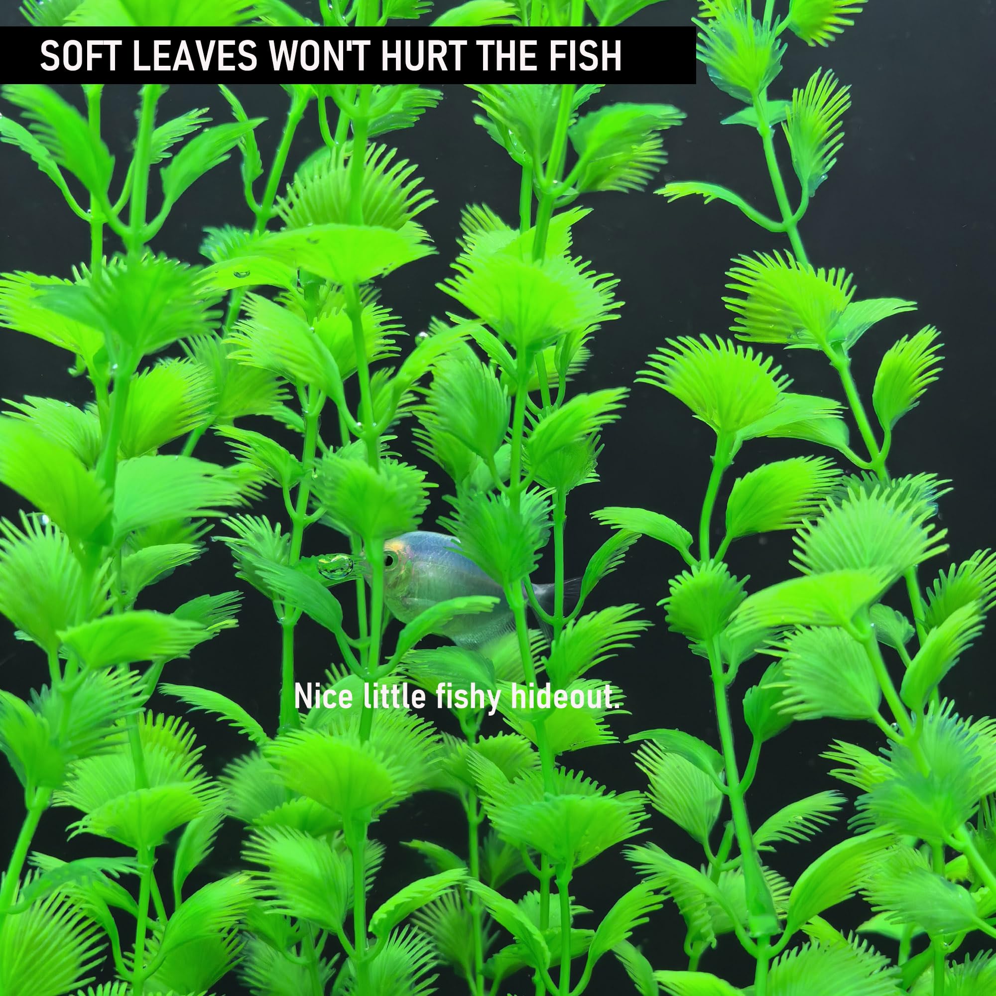 Siyipur safe, non-toxic plastics for freshwater and saltwater.