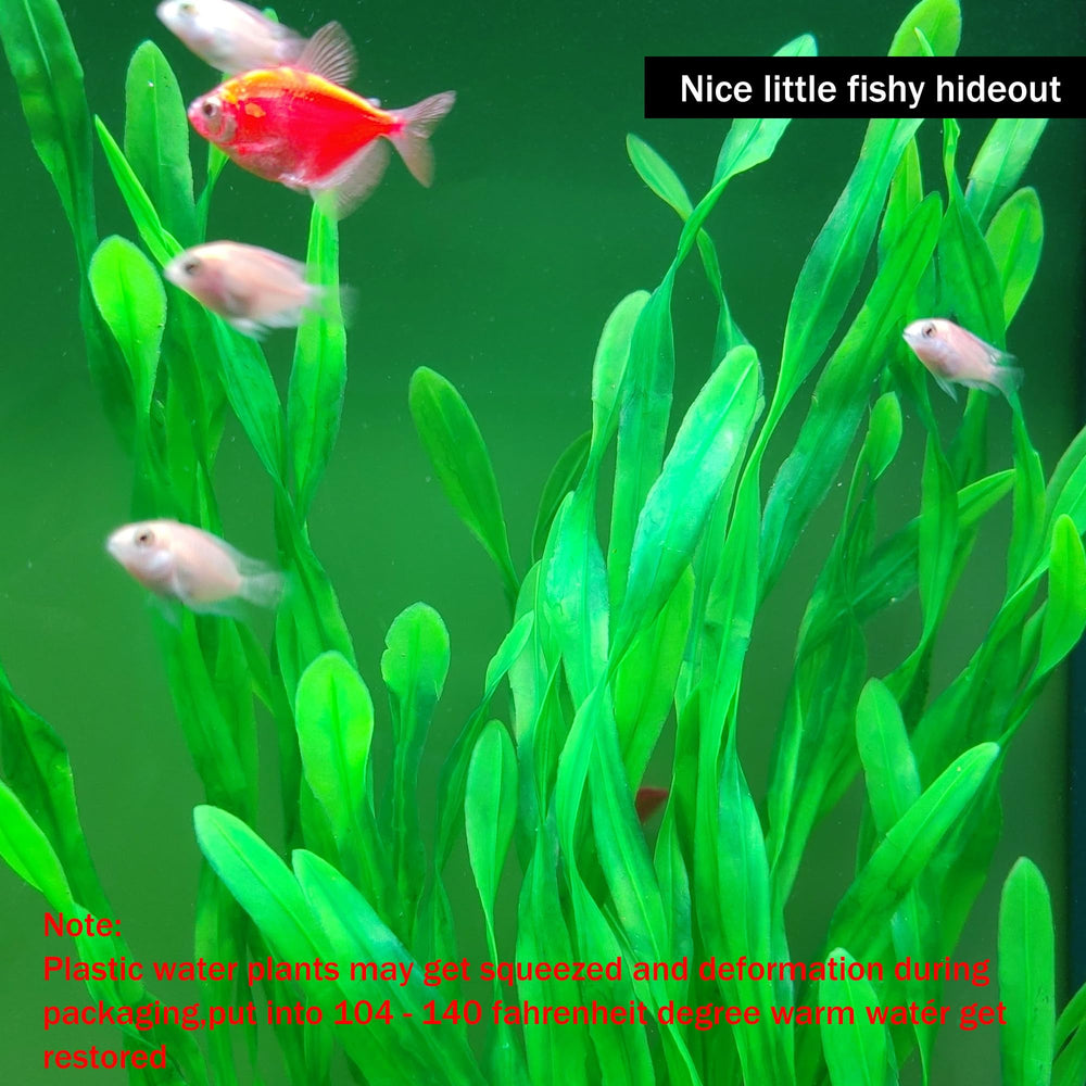 SIYIPURR two-pack adds vibrant, maintenance-free greenery to freshwater or saltwater tanks.