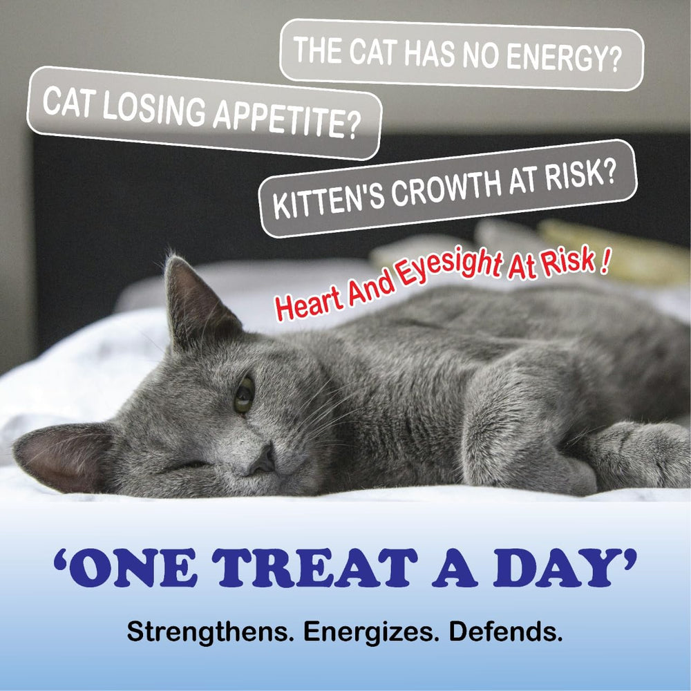 Skaal KittySupps Taurine dosing spoon shown for precise daily dosing