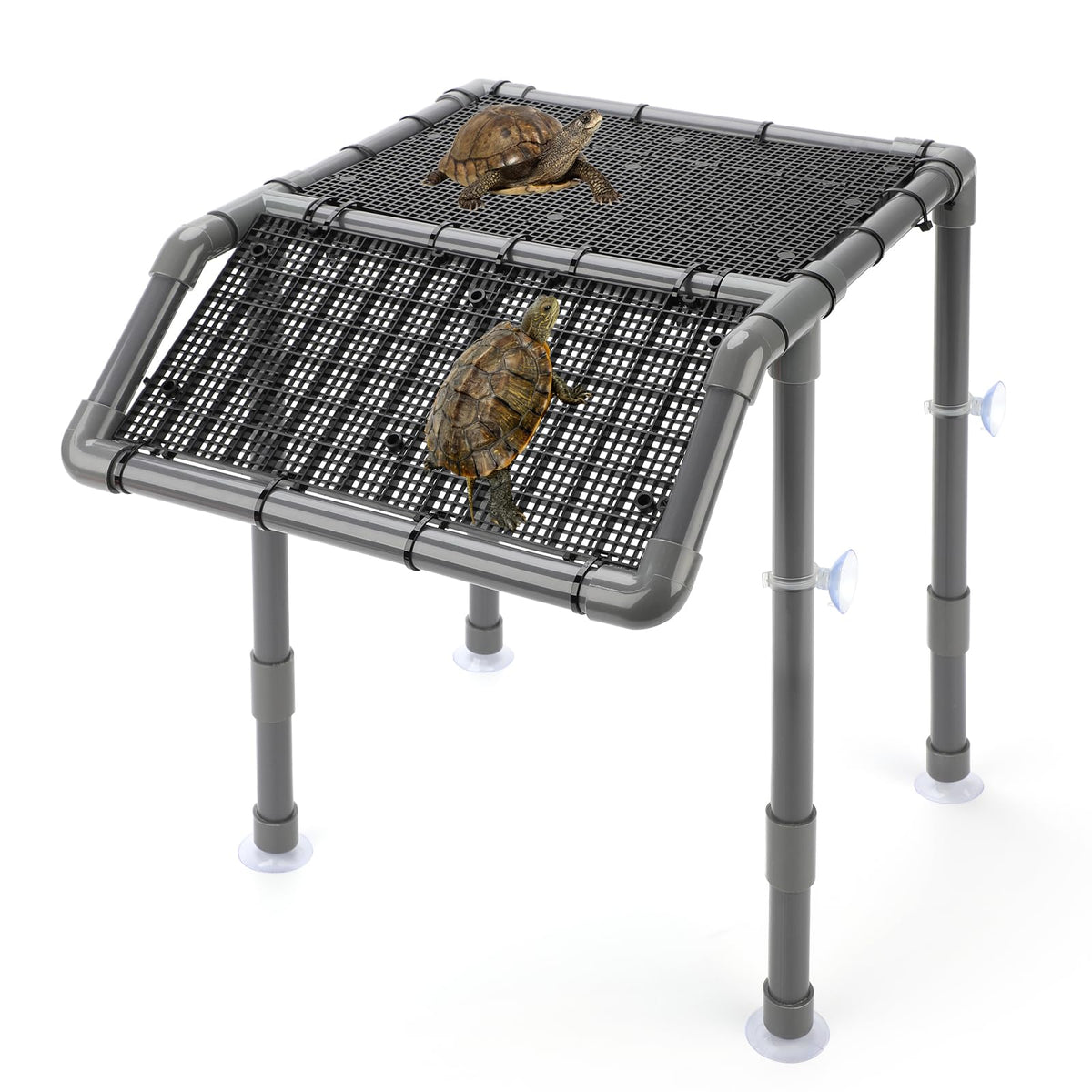 SKARUS adjustable standing turtle basking platform front view shows stability and space