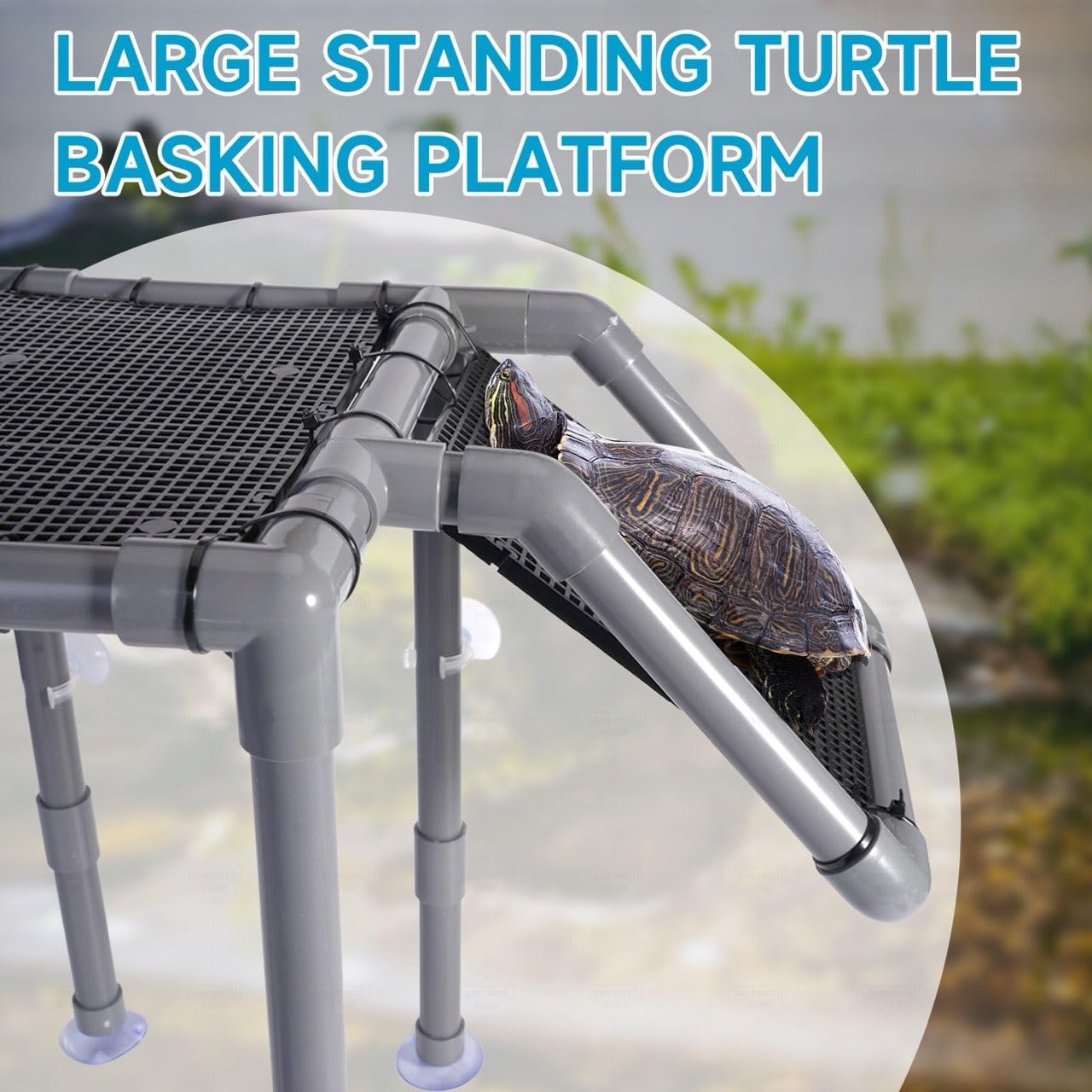 SKARUS non-slip suction maintains a secure perch on smooth tank surfaces