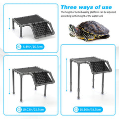 SKARUS ramp facilitating gentle climbing for turtles of various sizes