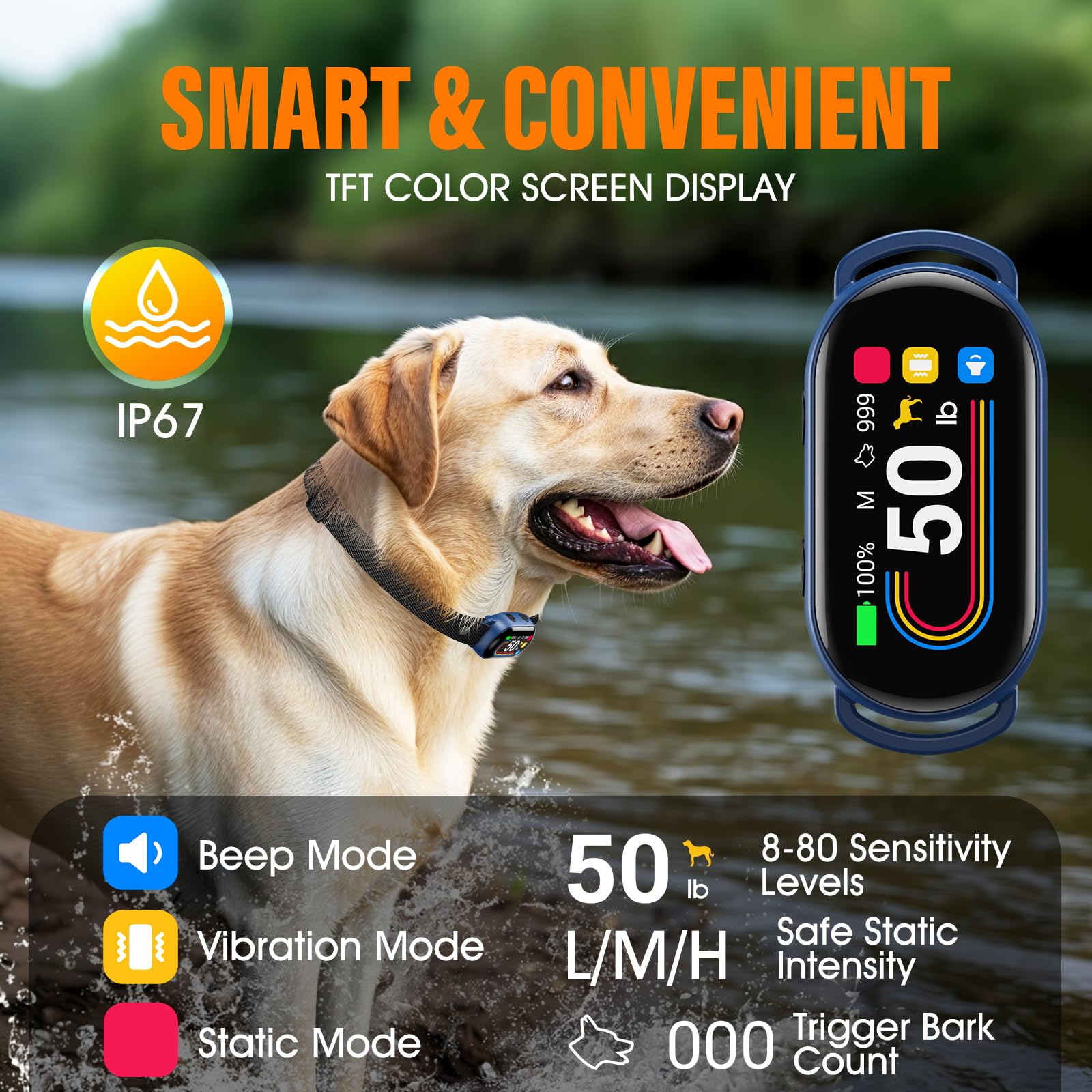 SKBAK rotatable TFT display for easy setup and progress tracking during training.
