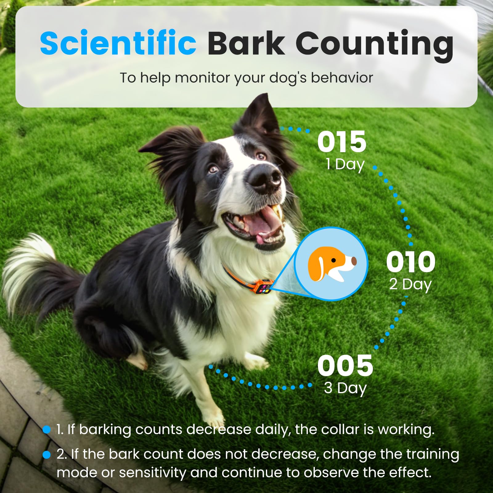 SKBAK Smart Dog Bark Collar adjustable dial enables precise sensitivity.
