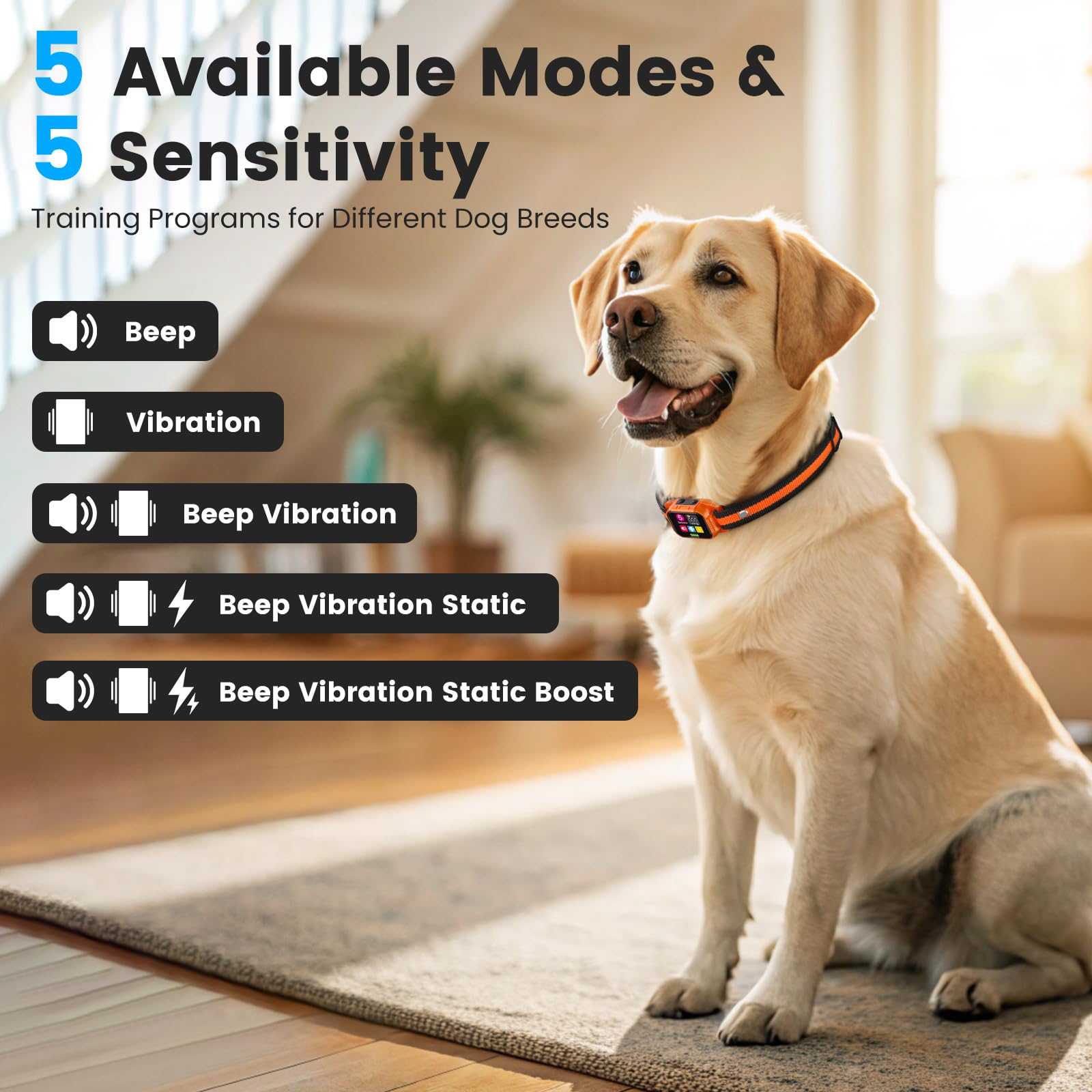 SKBAK Smart Dog Bark Collar worn on dog during daily outdoor walks.