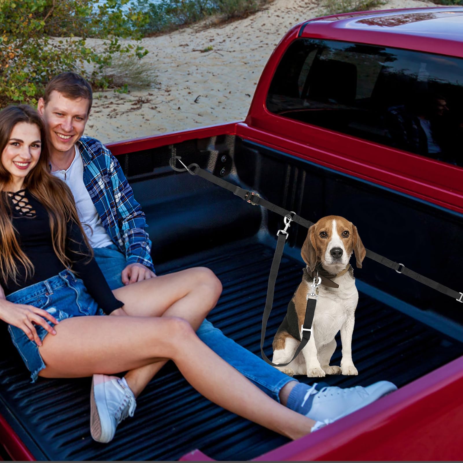 Skipwall safety-first dog tether design emphasizing robust protection