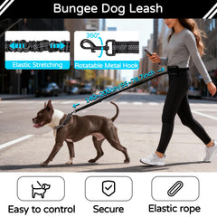 Skmeditec heavy-duty nylon leash in use with a large dog.