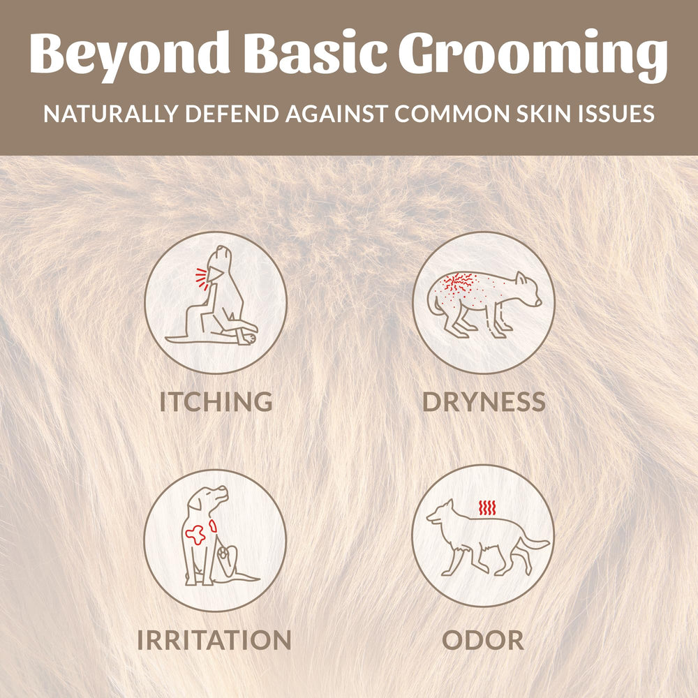 Avocado oil-infused care from Skout's Honor for coats.