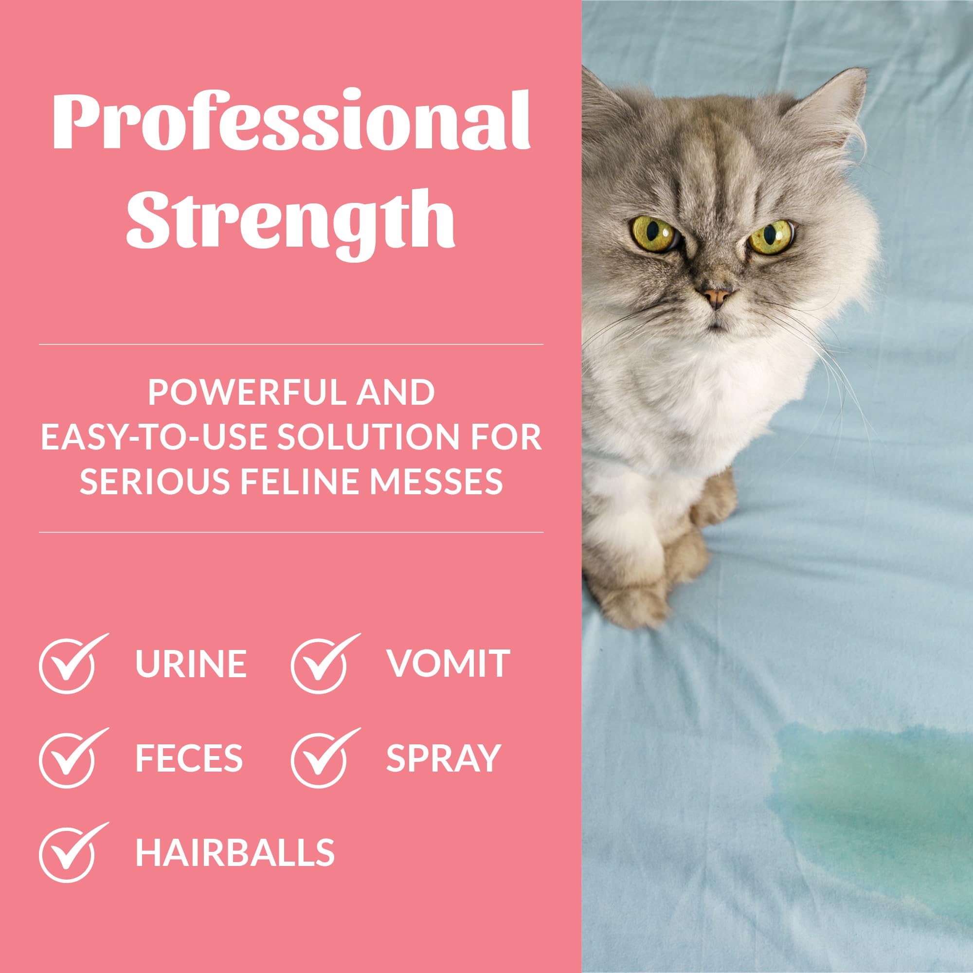 Carpet cleaning application shows deep cleaning action on fabrics.