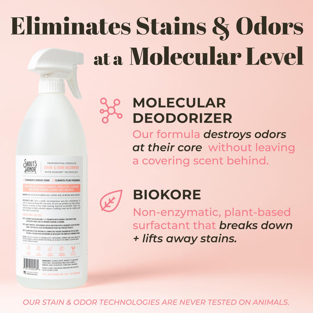 Carpet padding deep-clean action with Skout's Honor for lasting freshness.