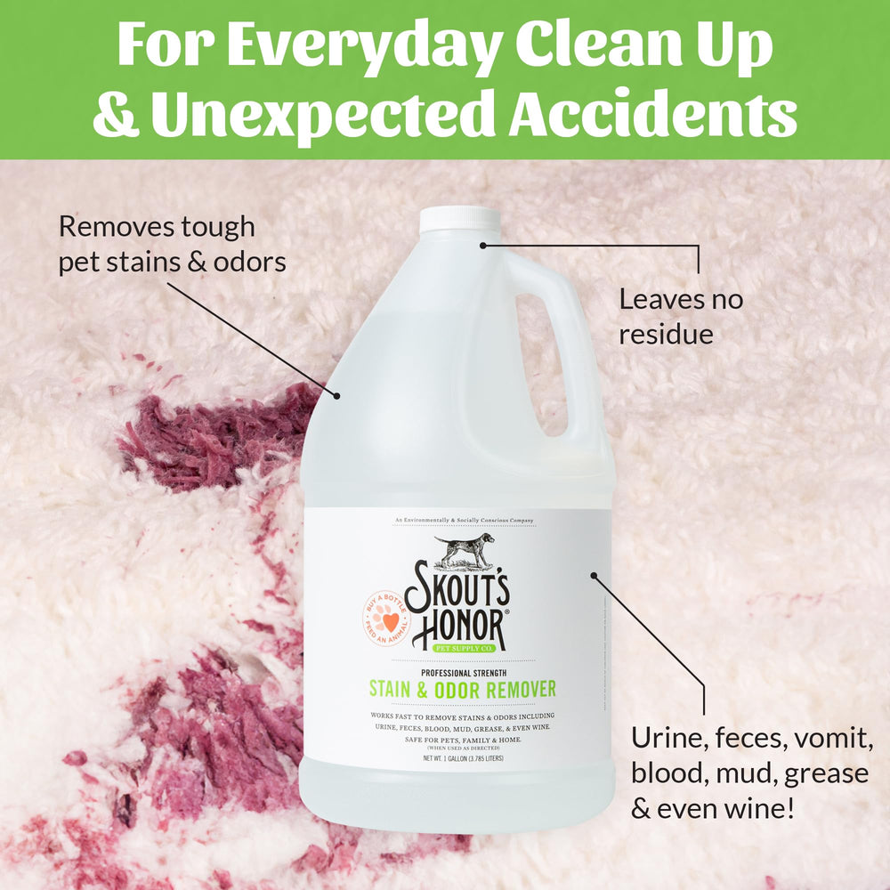 SKOUT'S HONOR carpet sofa and bedding cleaning solution shown in use