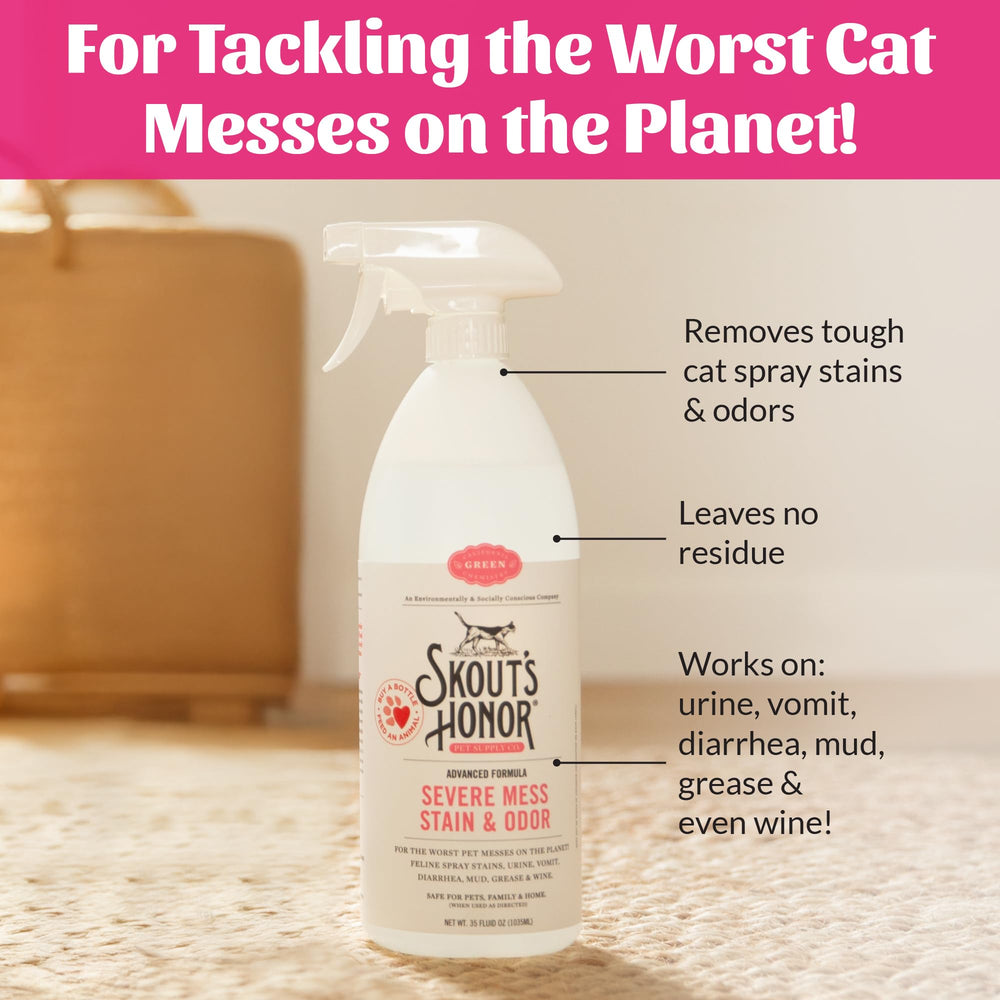 Upholstery spot cleaning demonstrates versatility on fabric surfaces around the home.