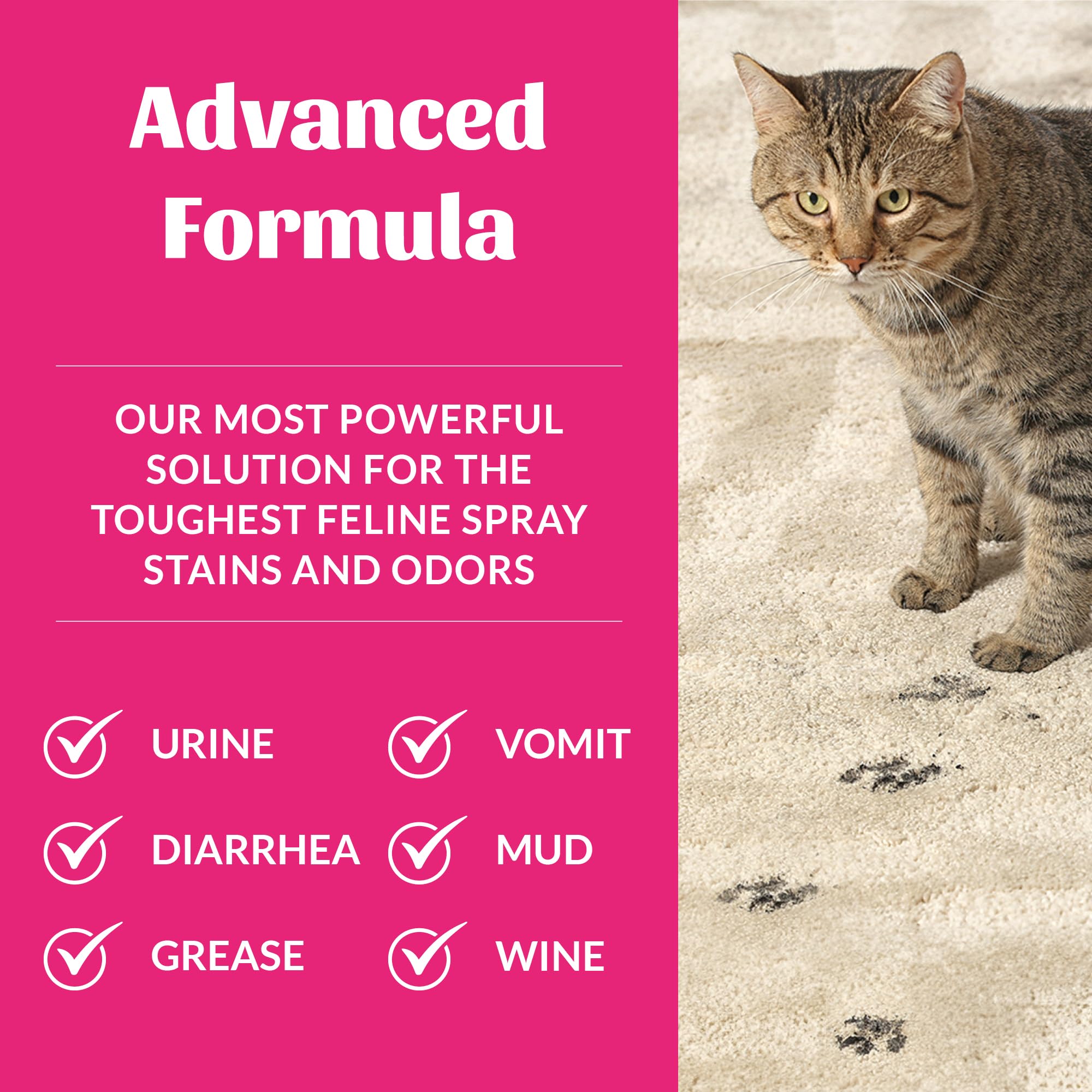 Spray nozzle applying mist to carpet fibers to start odor and stain removal.