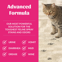 Spray nozzle applying mist to carpet fibers to start odor and stain removal.