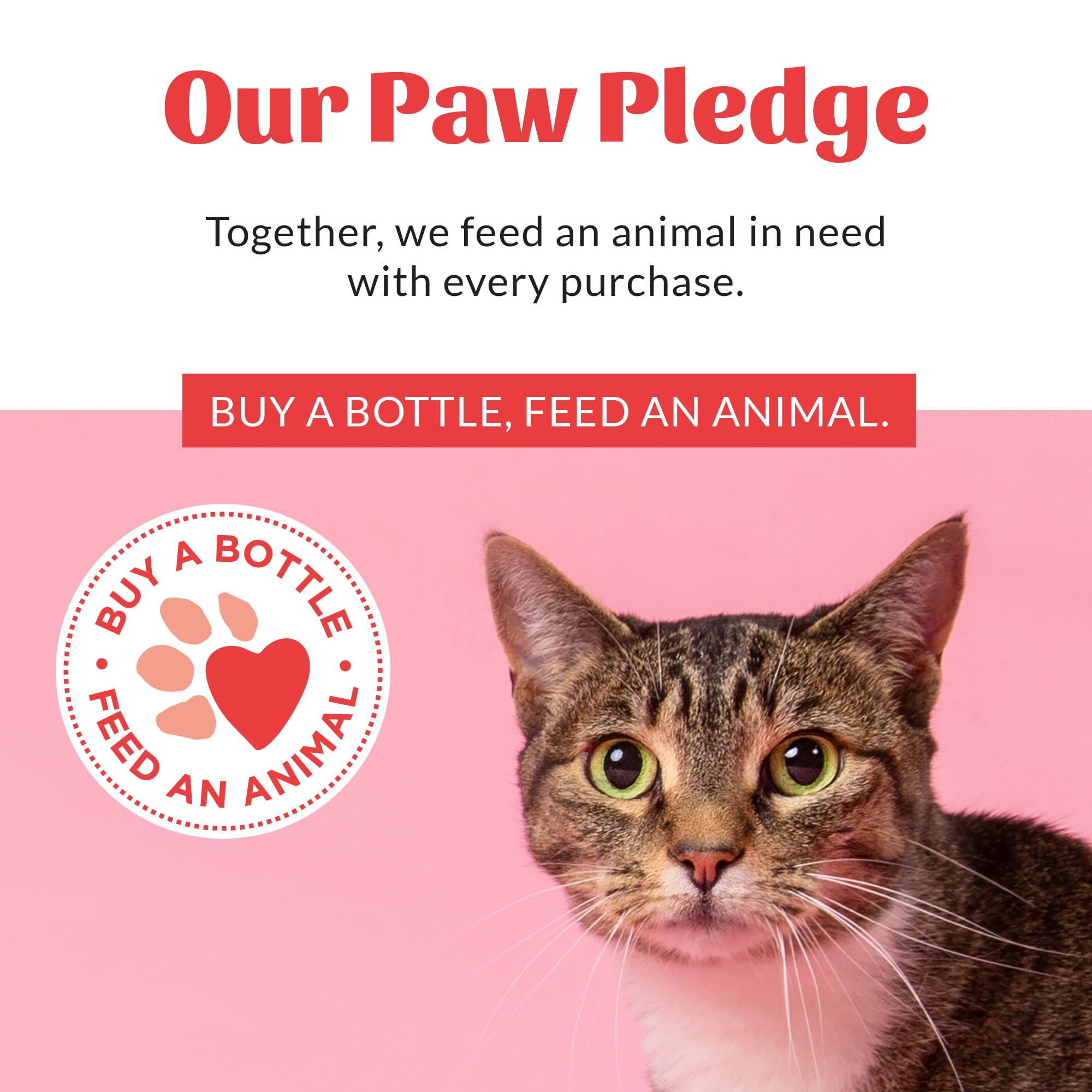 Shelf-ready product on bathroom counter communicates home-friendly appeal