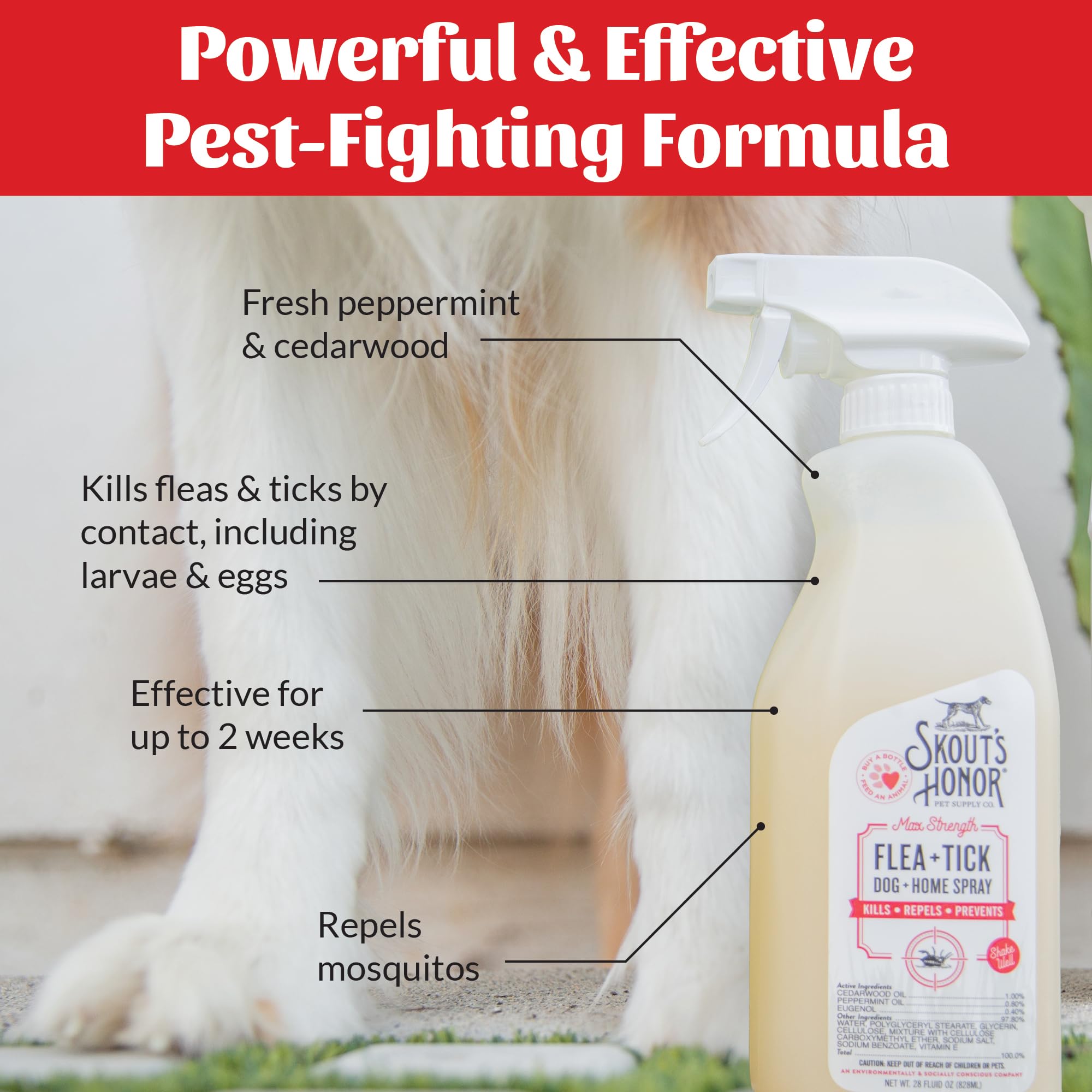 Cats should be kept away until the area dries after application.