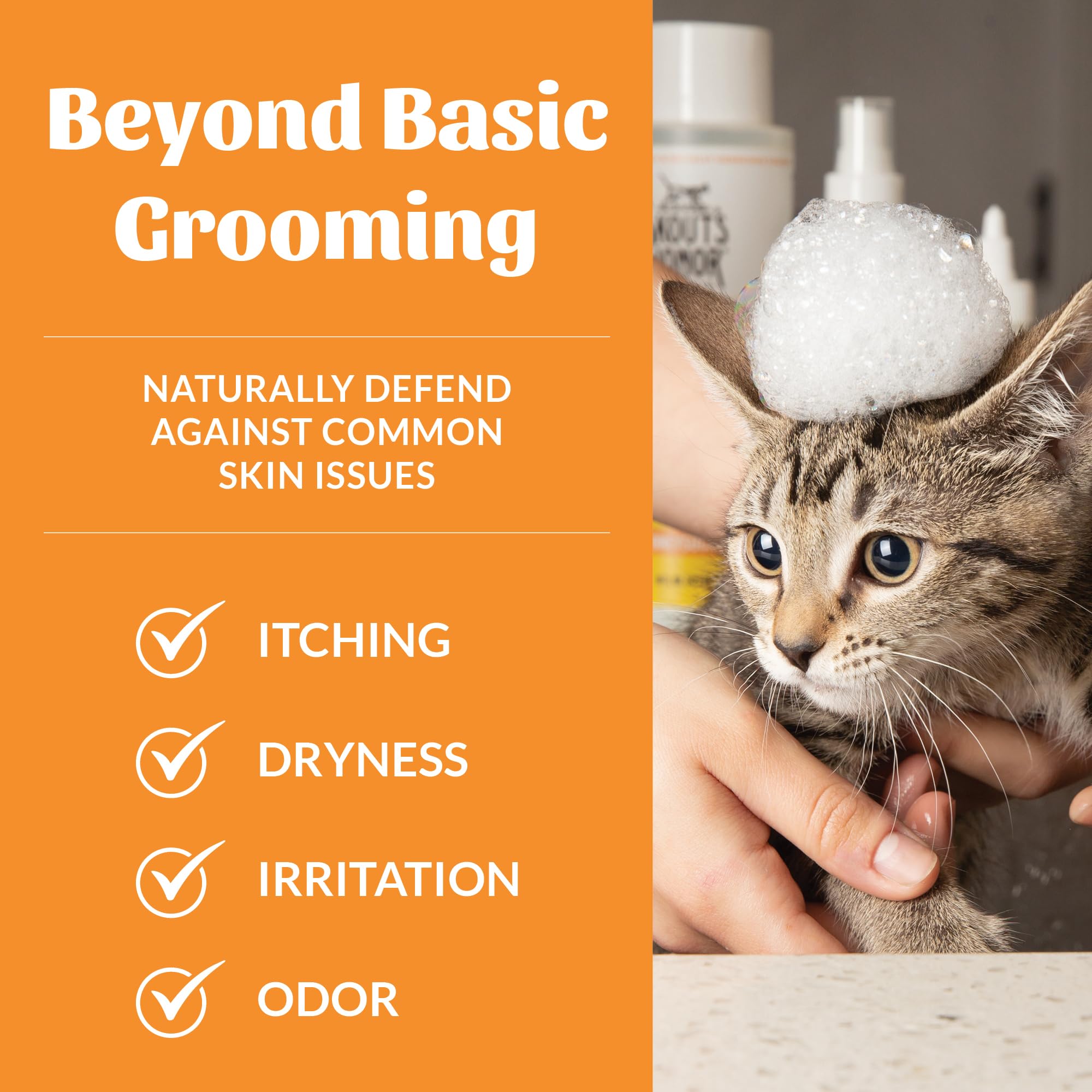 Skout's Honor cat shampoo honeysuckle label communicates gentle cleansing.