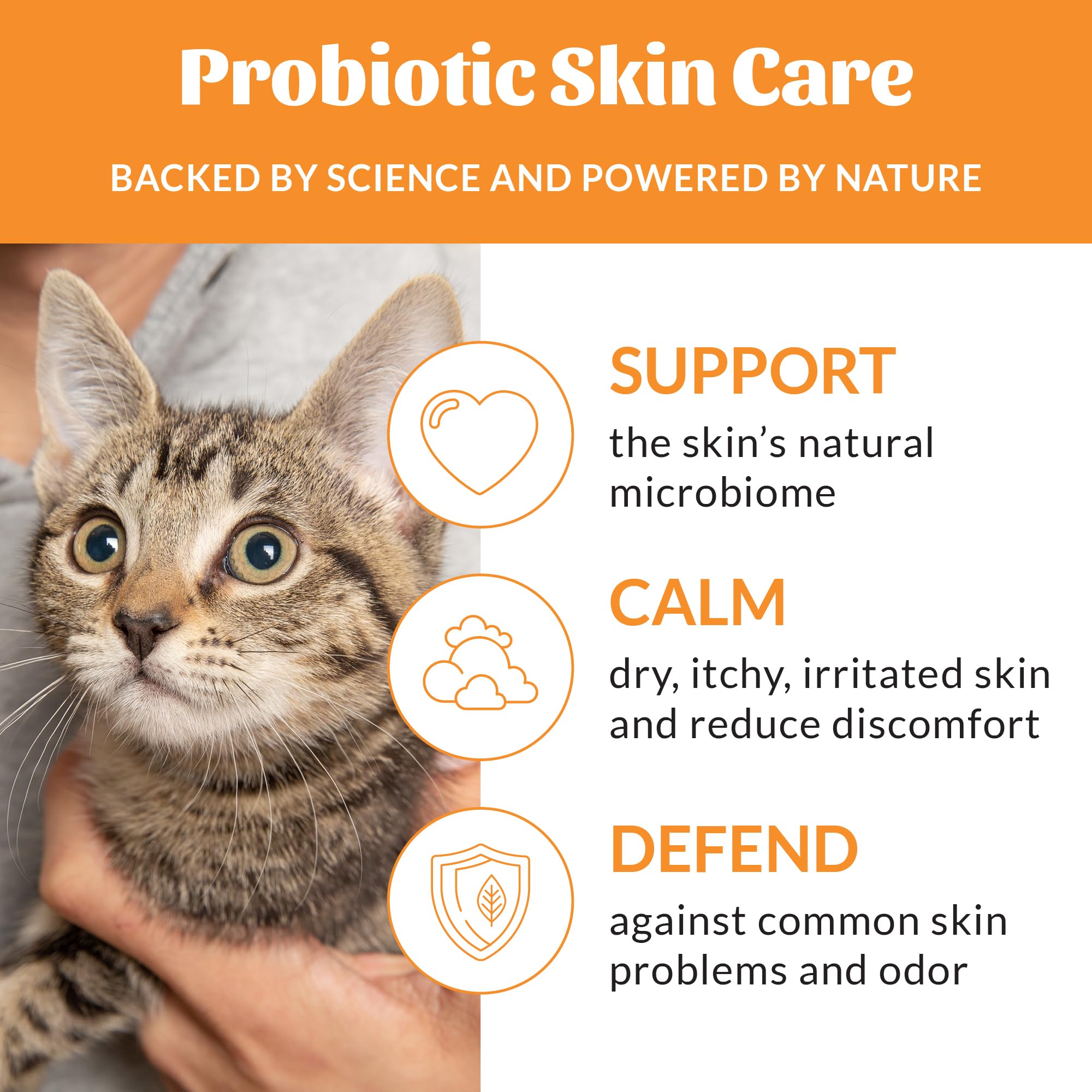 Skout's Honor shampoo lather on cat fur demonstrates silky, smooth coat after wash.