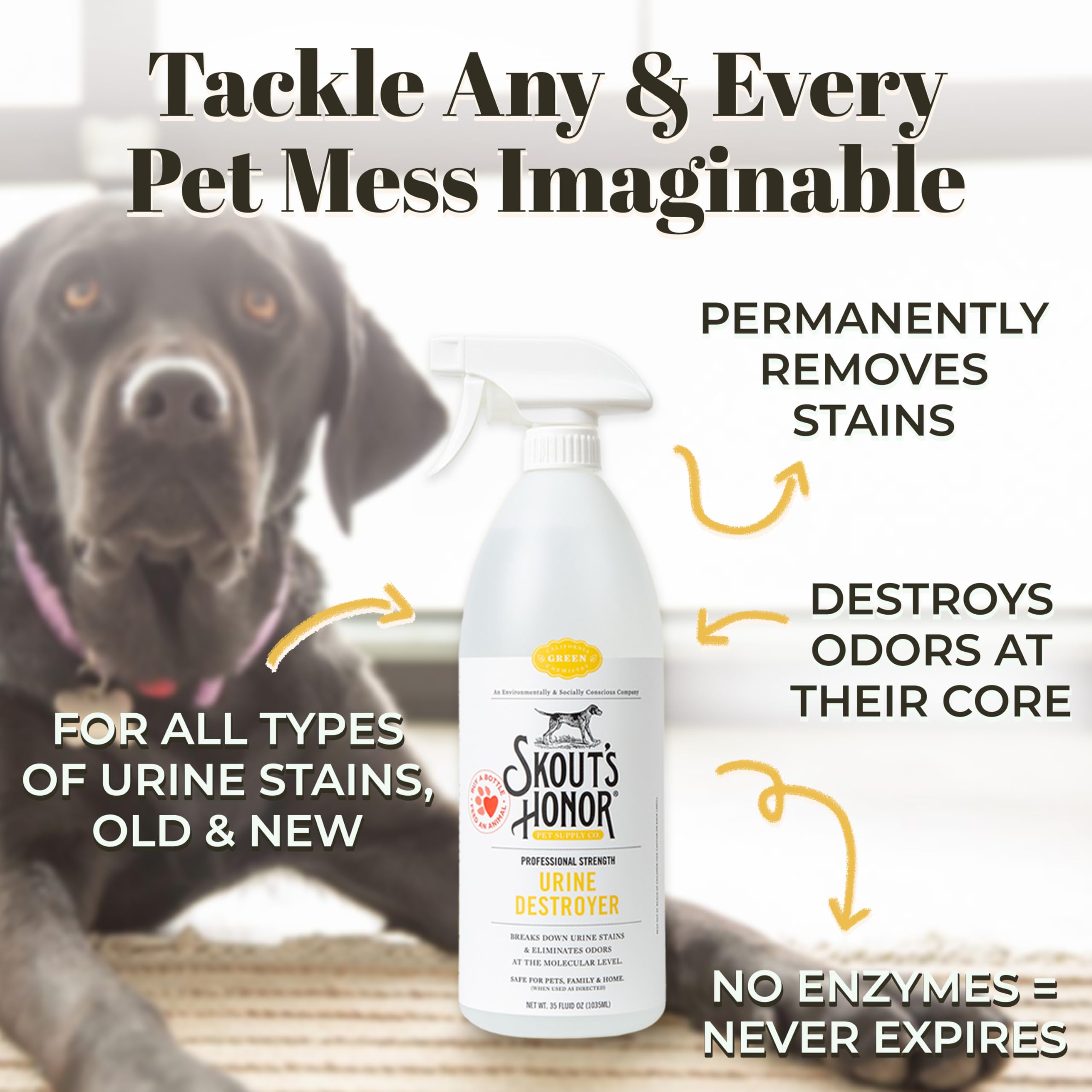 Skout's Honor dog urine destroyer works on carpet—eliminates stains with plant-powered cleaning.