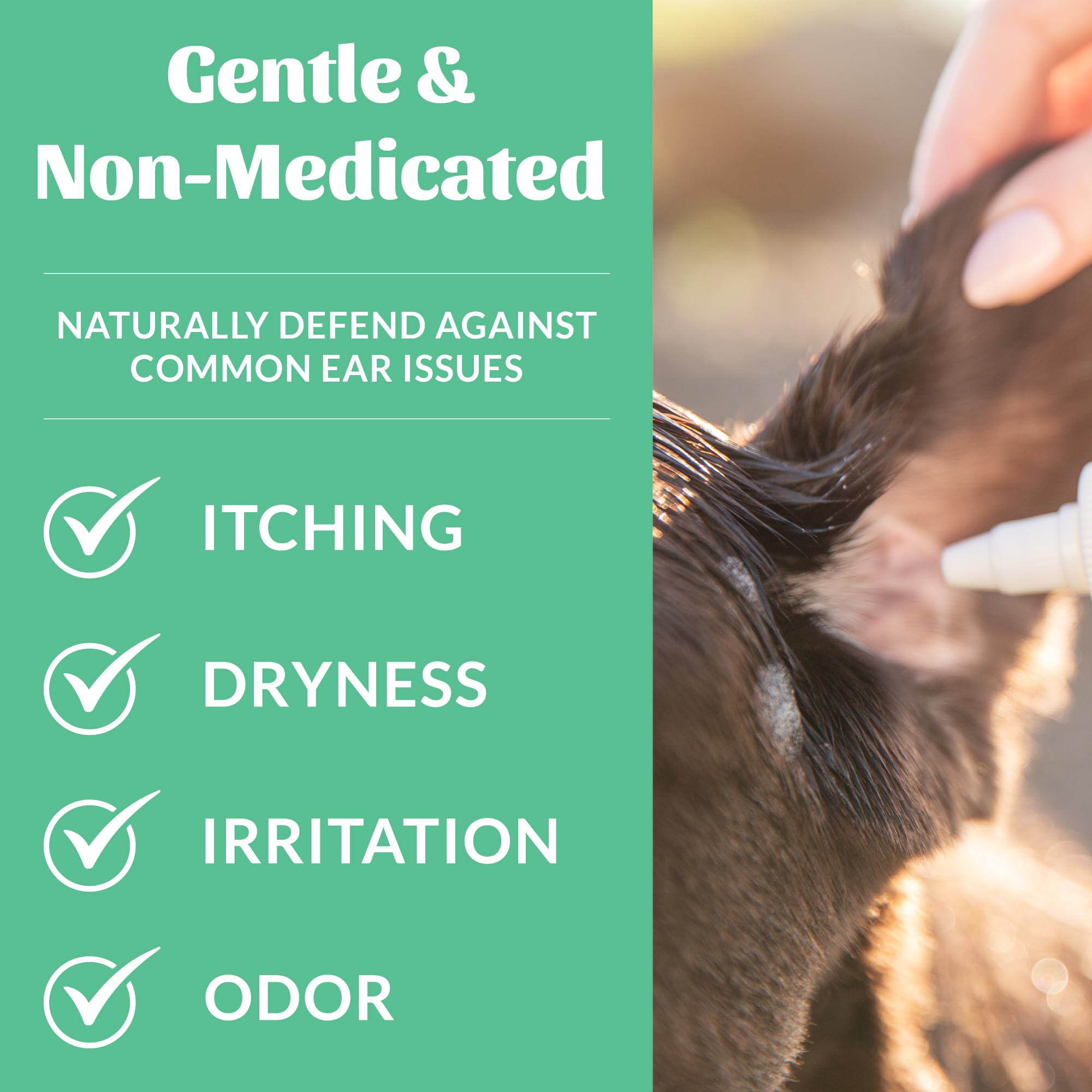 SKOUT'S HONOR ear cleaner aloe vera gel closeup signals soothing, alcohol-free cleansing.