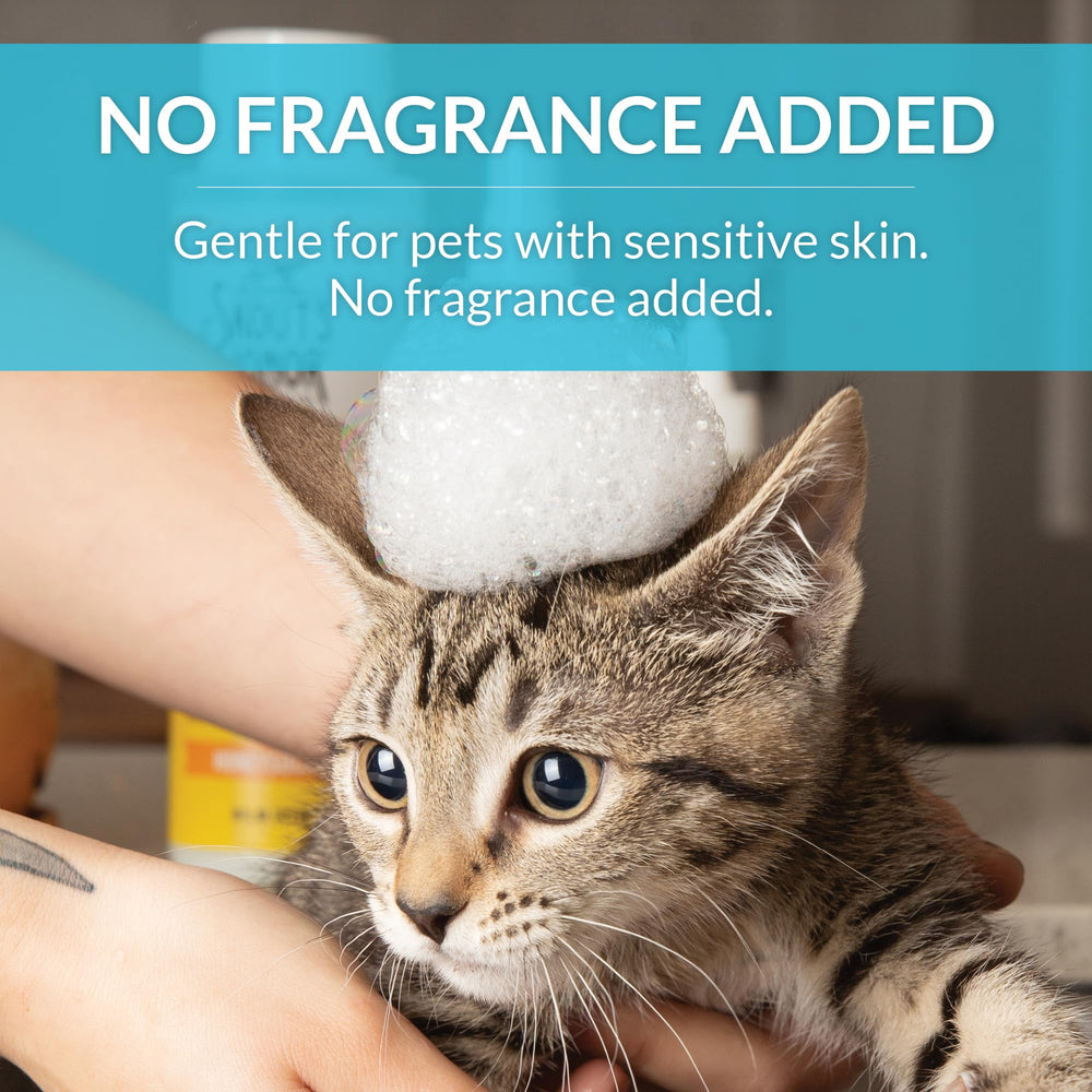 Skout's Honor fragrance-free bottle shown for sensitive noses.