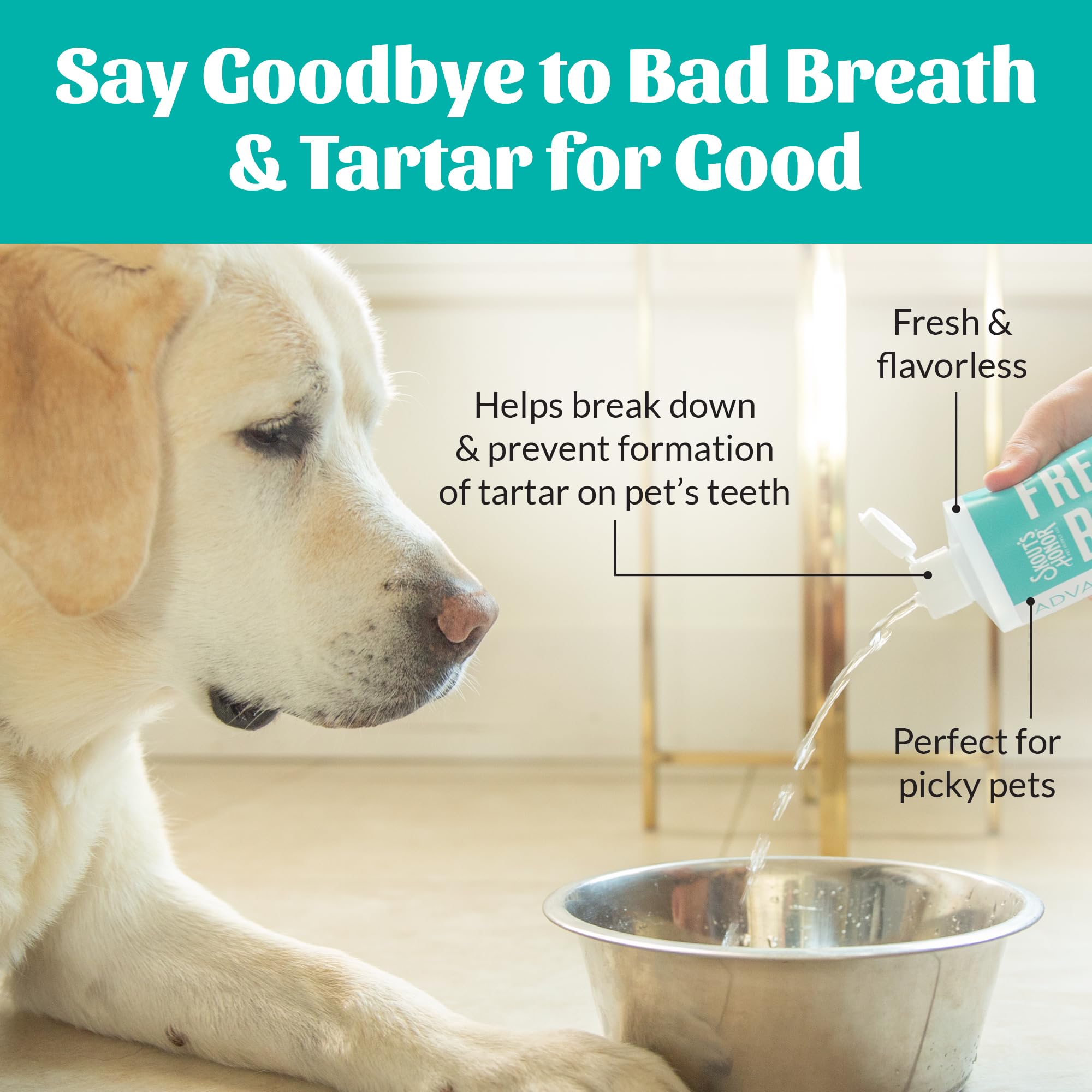 SKOUT'S HONOR Fresher Breath cat-bowl setup shows a safe odorless option.