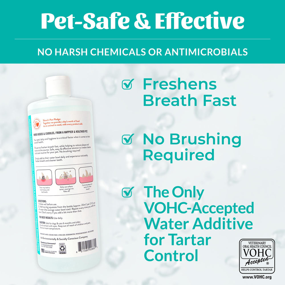 SKOUT'S HONOR Fresher Breath dog-bowl scene highlighting breath-freshening routine.