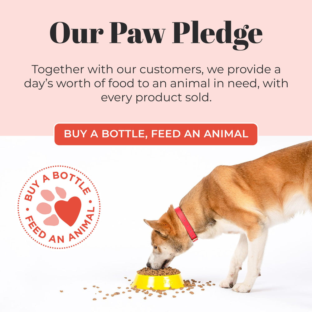 Skout’s Honor hypoallergenic dog shampoo—designed for dogs with sensitive skin.