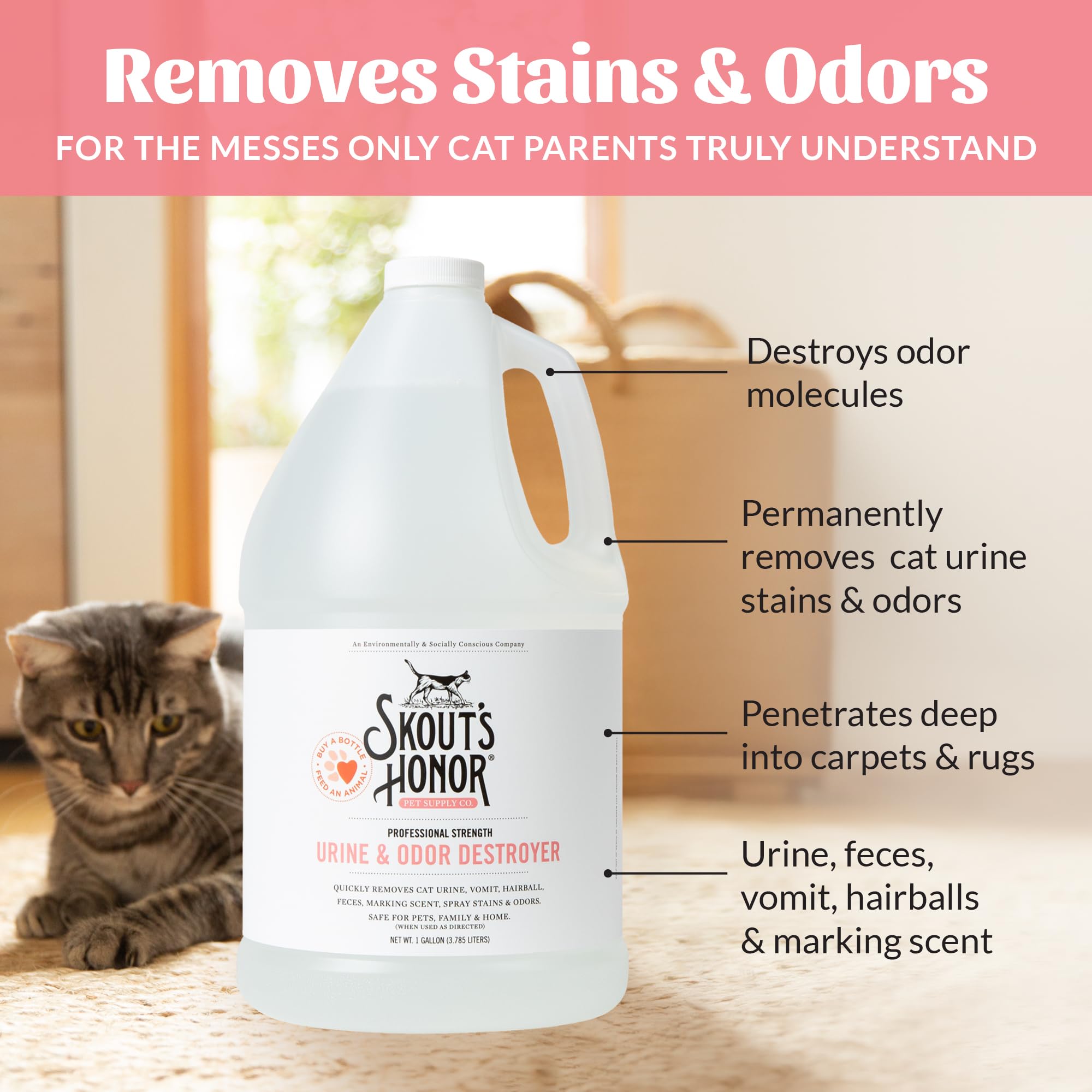 Indoor living space freshness after odor removal using SKOUT'S HONOR.