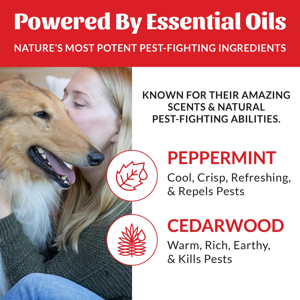 Skout's Honor close-up of peppermint and cedarwood essential oils used in the formula.