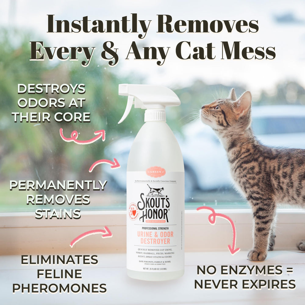 Spray application mist of Skout's Honor for even coverage and odor neutralization.