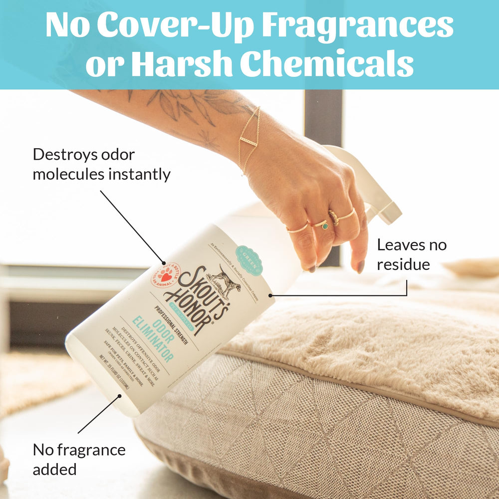 Skout's Honor Odor Eliminator for cars keeps interior smells under control.
