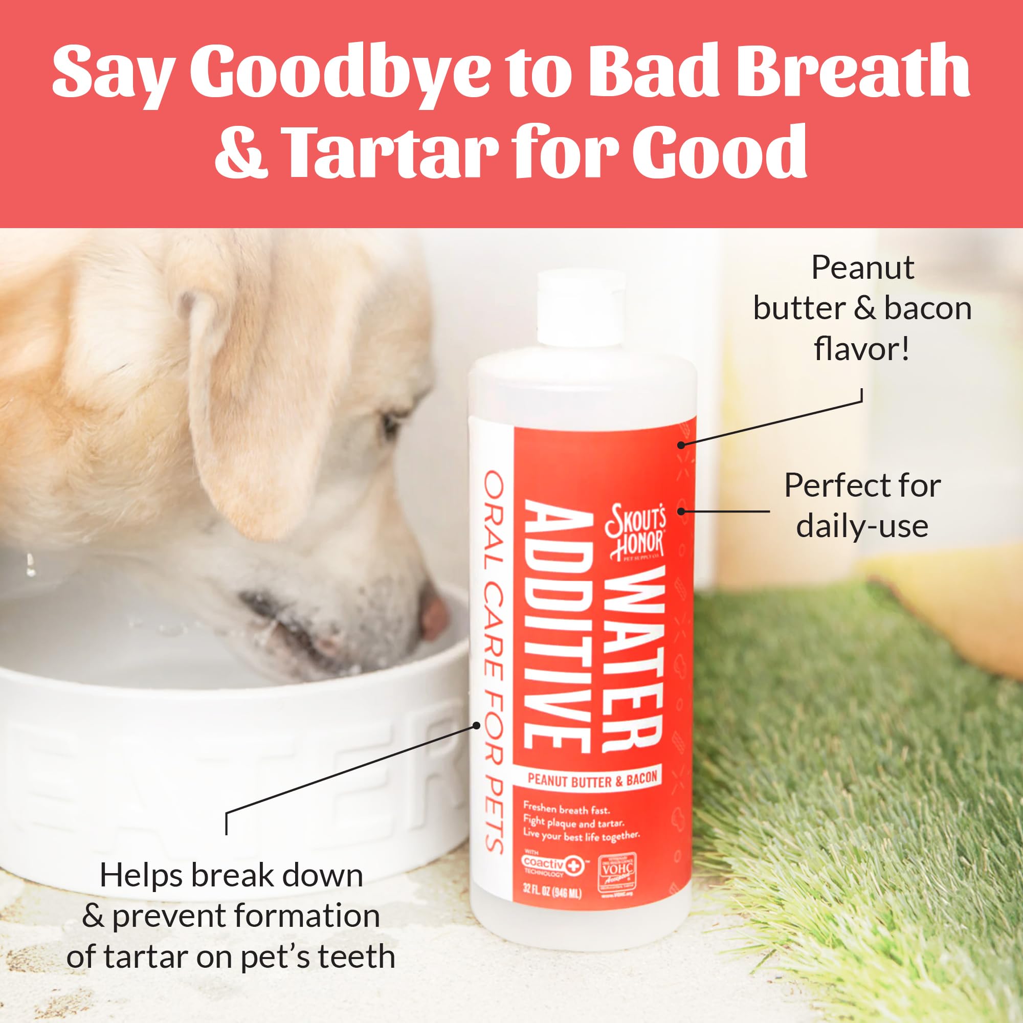 SKOUT'S HONOR breath-freshening water additive improves palatability and hydration.