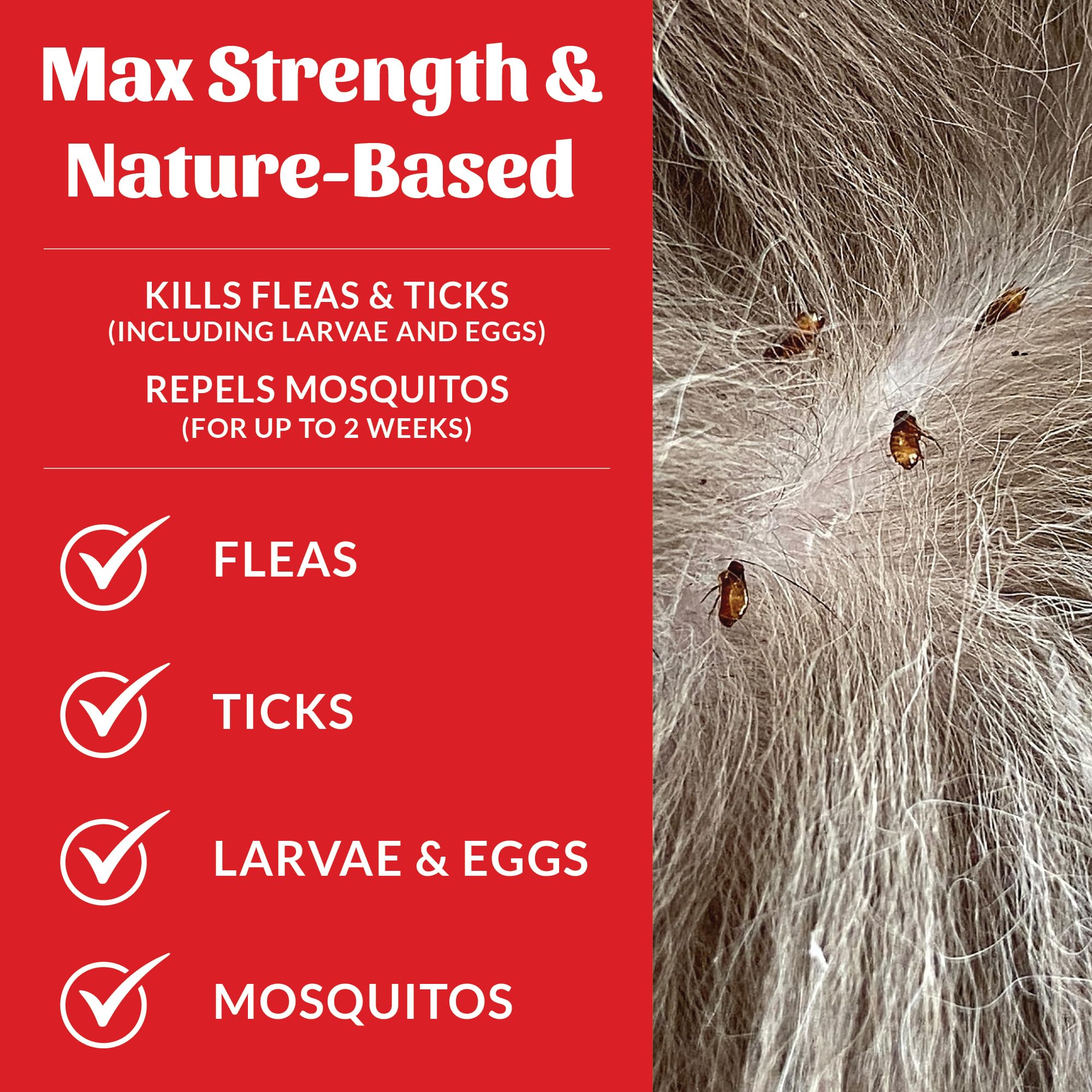 Plant-powered ingredients provide a natural pest-control option for homes with pets.