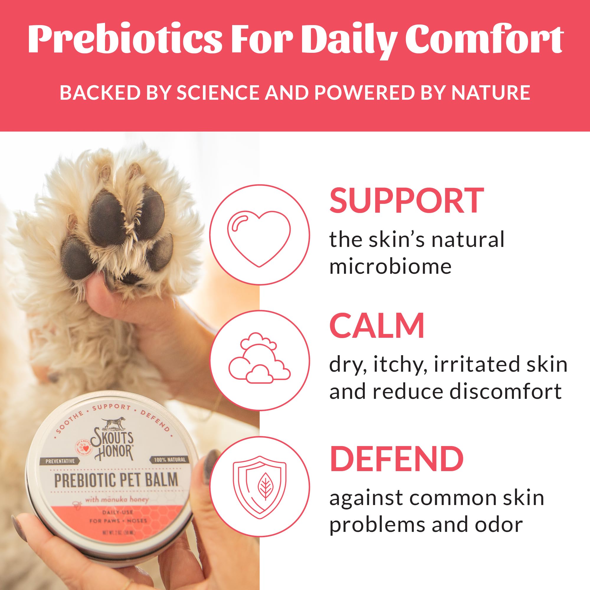 Creamy balm applied to a paw for quick relief.
