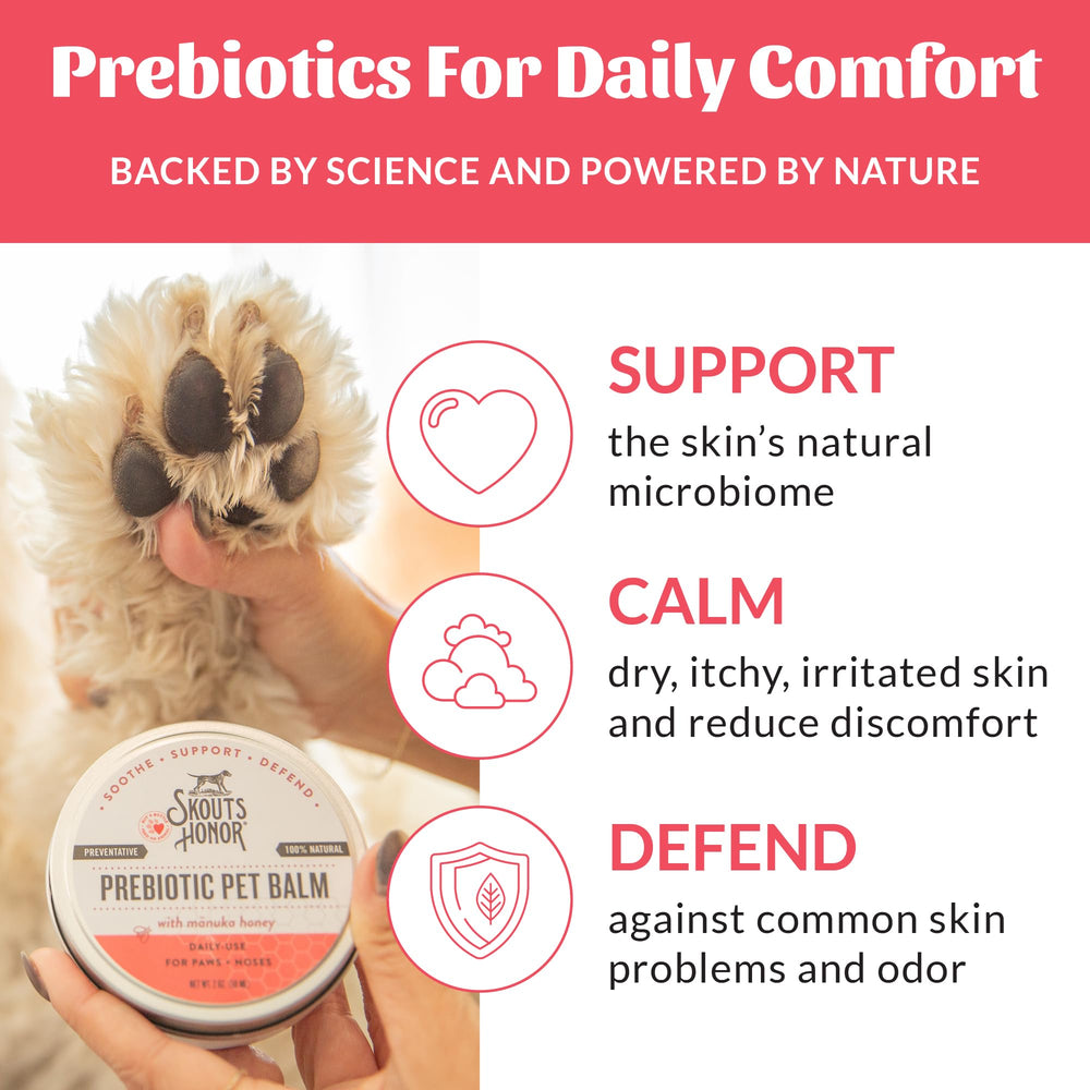 Creamy balm applied to a paw for quick relief.