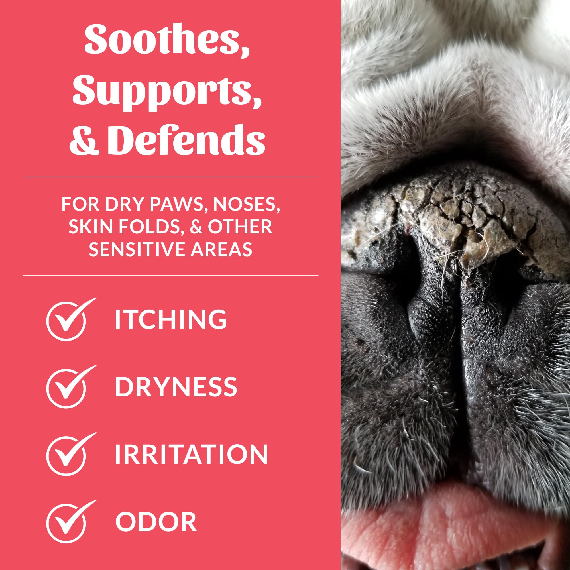 SKOUT'S HONOR balm on a nose comforting irritated areas.