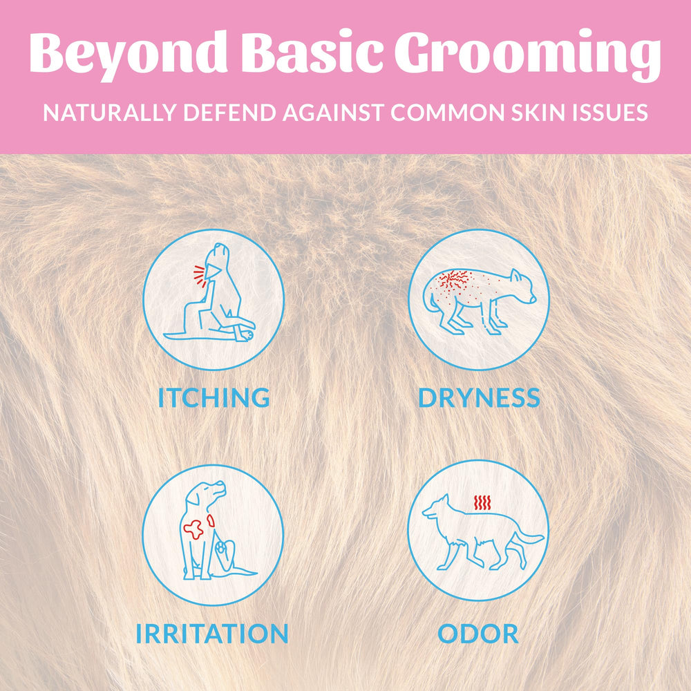 New label on Skout's Honor probiotic deodorizer spray signals microbiome-aware care